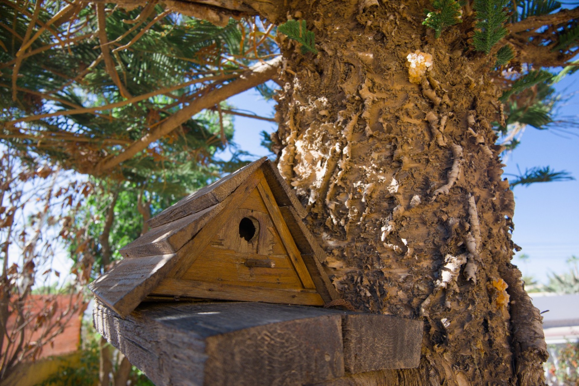 Brukt - Villa -
La Siesta - Costa Blanca