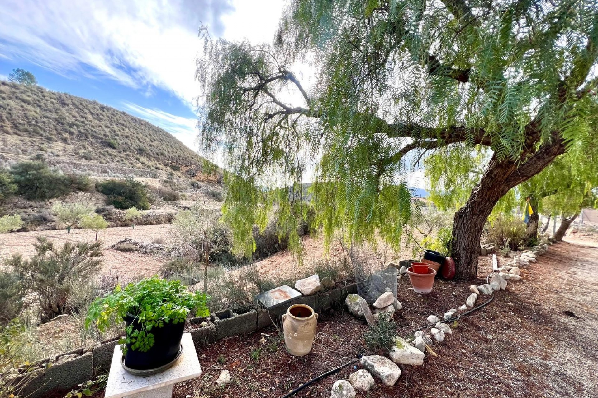 Brukt - Villa -
Monóvar/Monóver - Inland