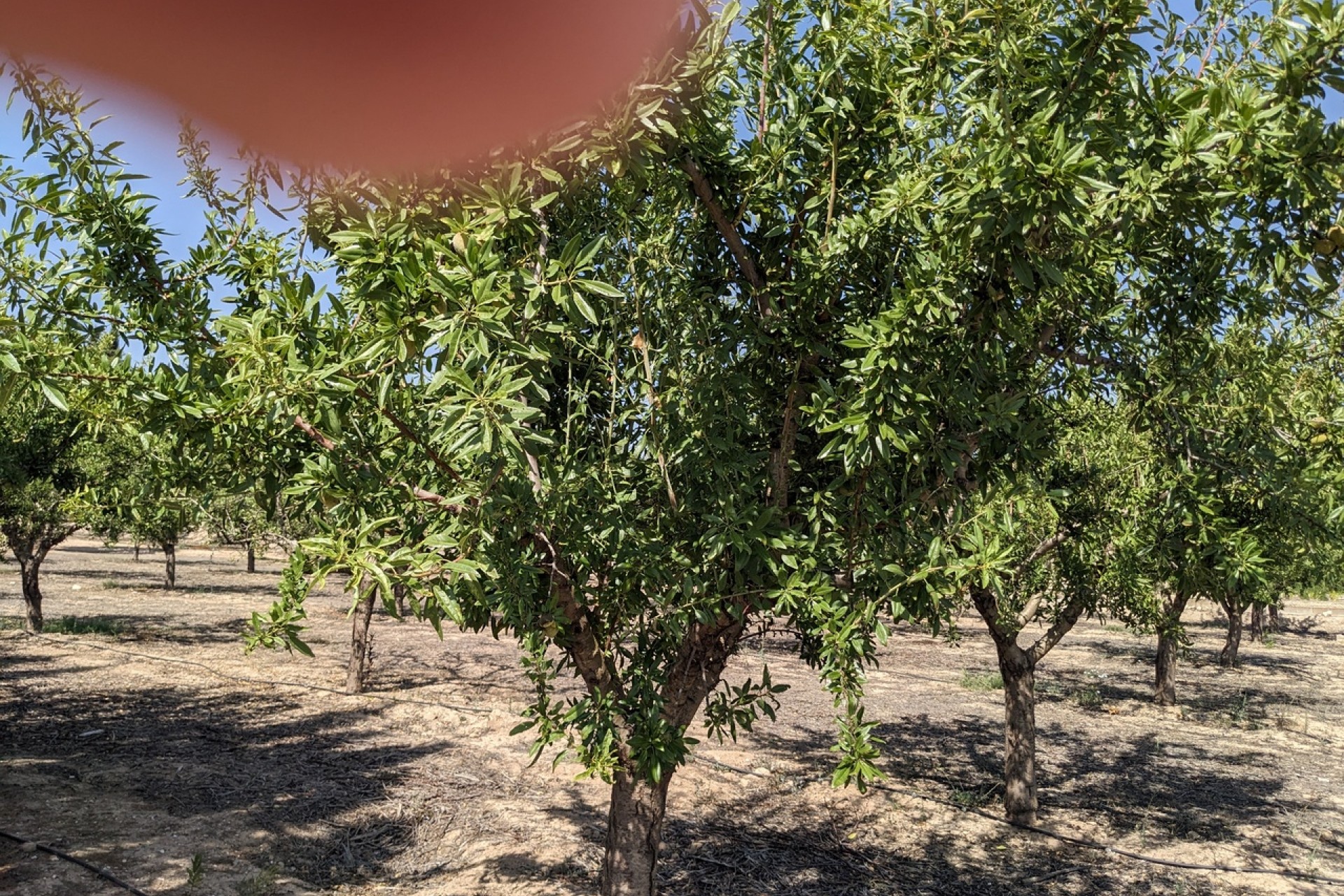 Brukt - Villa -
Murcia - Inland