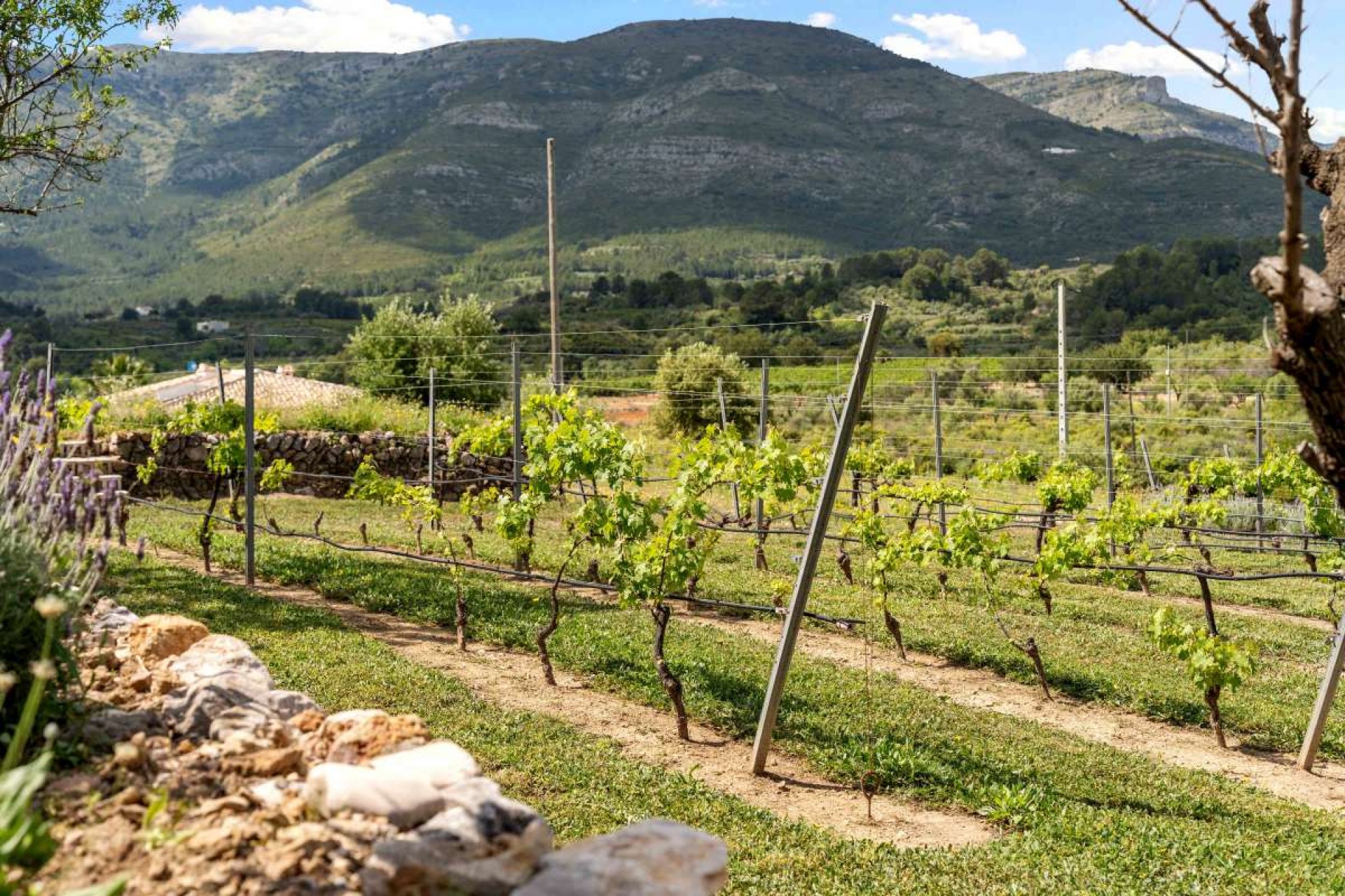 Brukt - Villa -
Murla - Inland