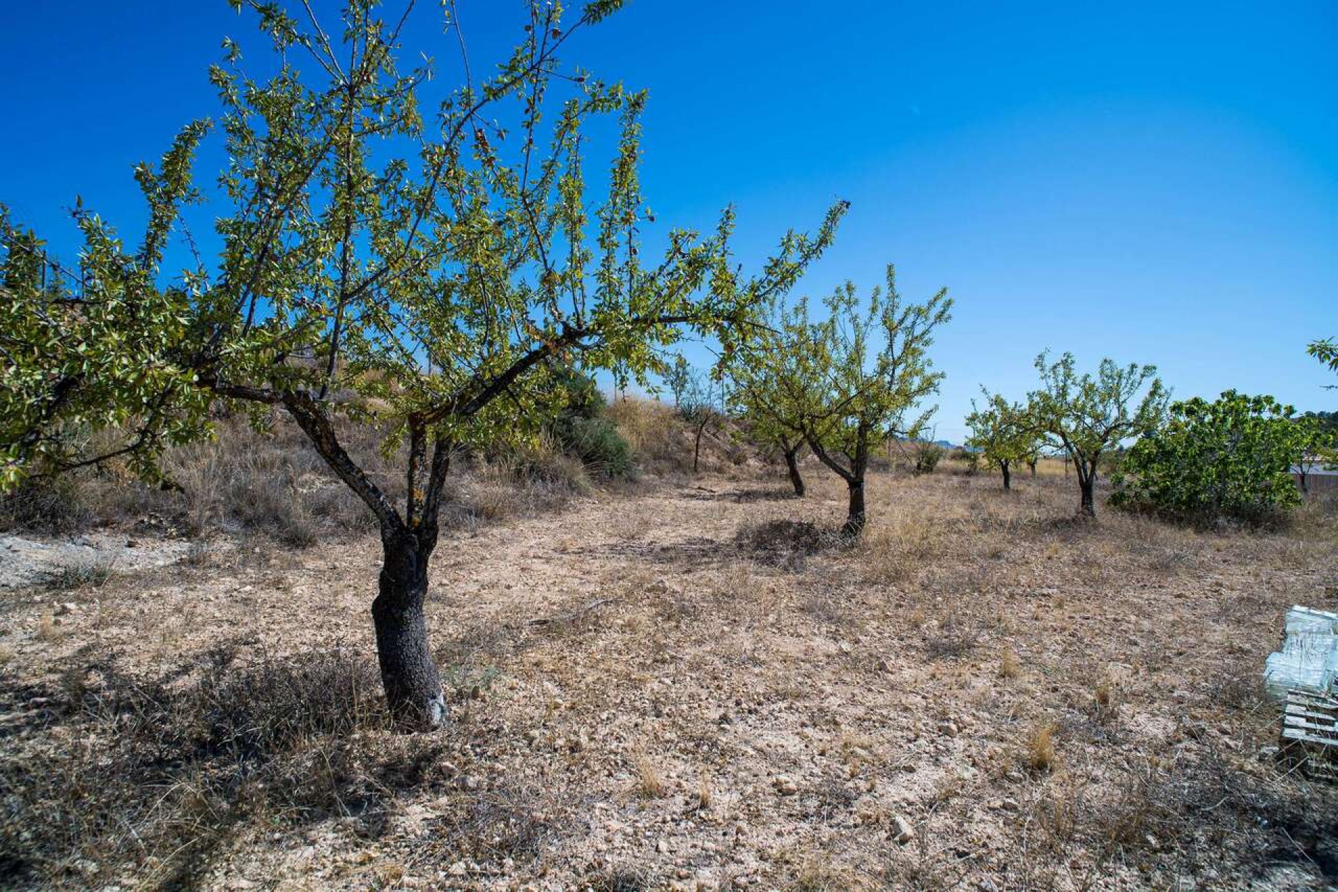 Brukt - Villa -
Pinoso - Inland