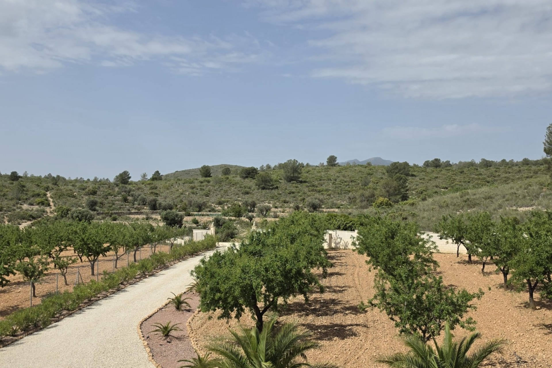 Brukt - Villa -
Pinoso - Inland