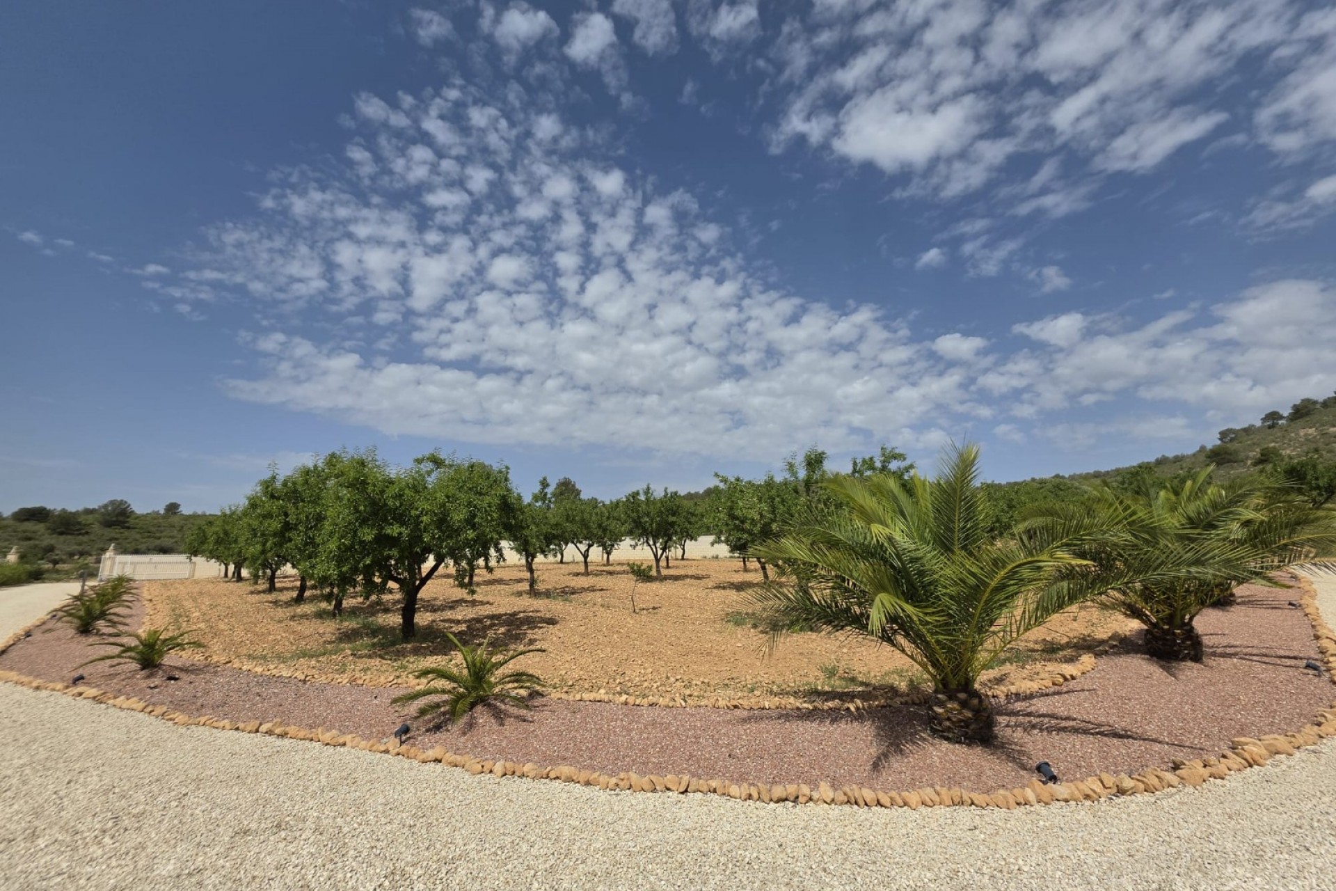 Brukt - Villa -
Pinoso - Inland