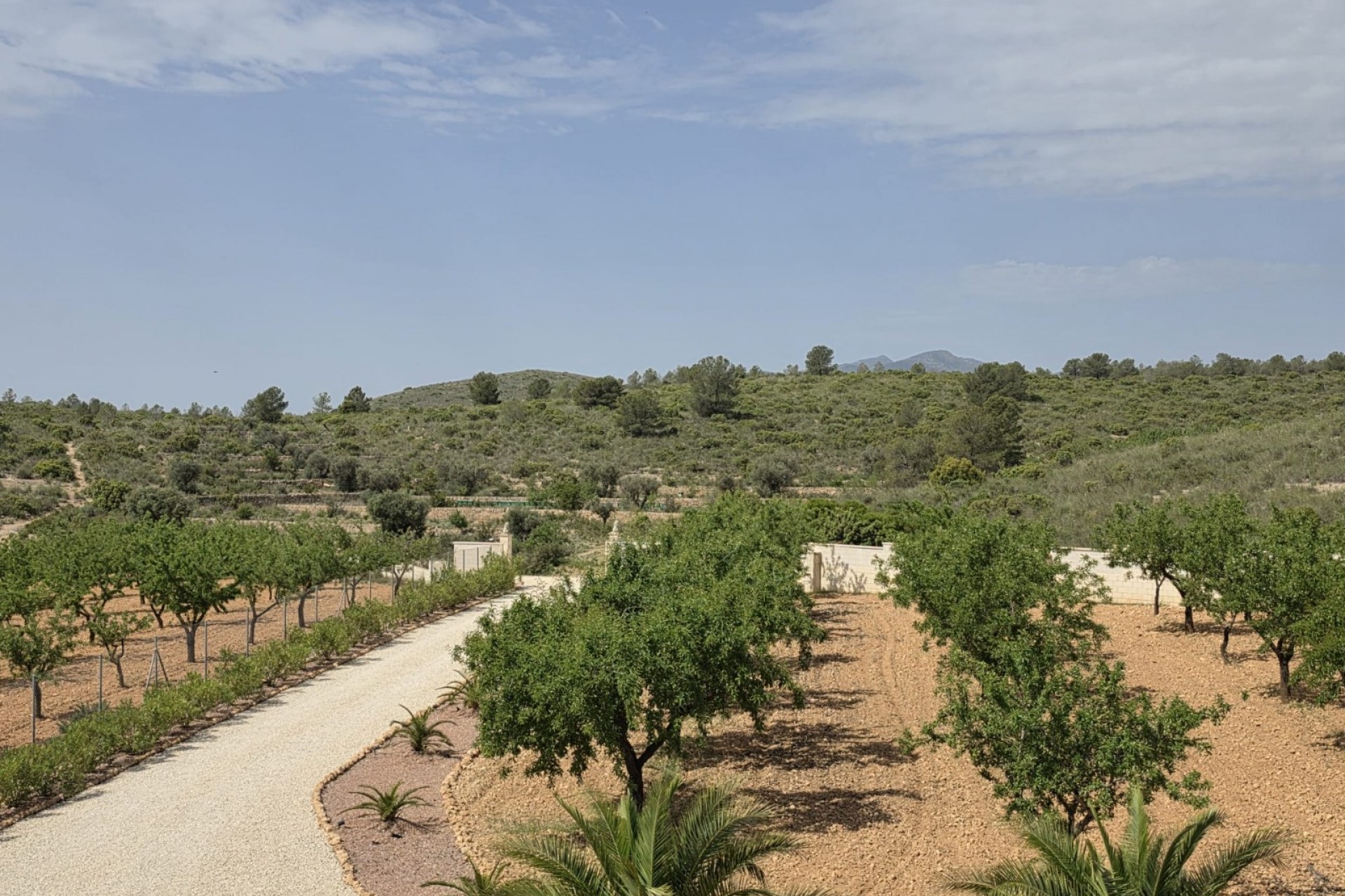 Brukt - Villa -
Pinoso - Inland
