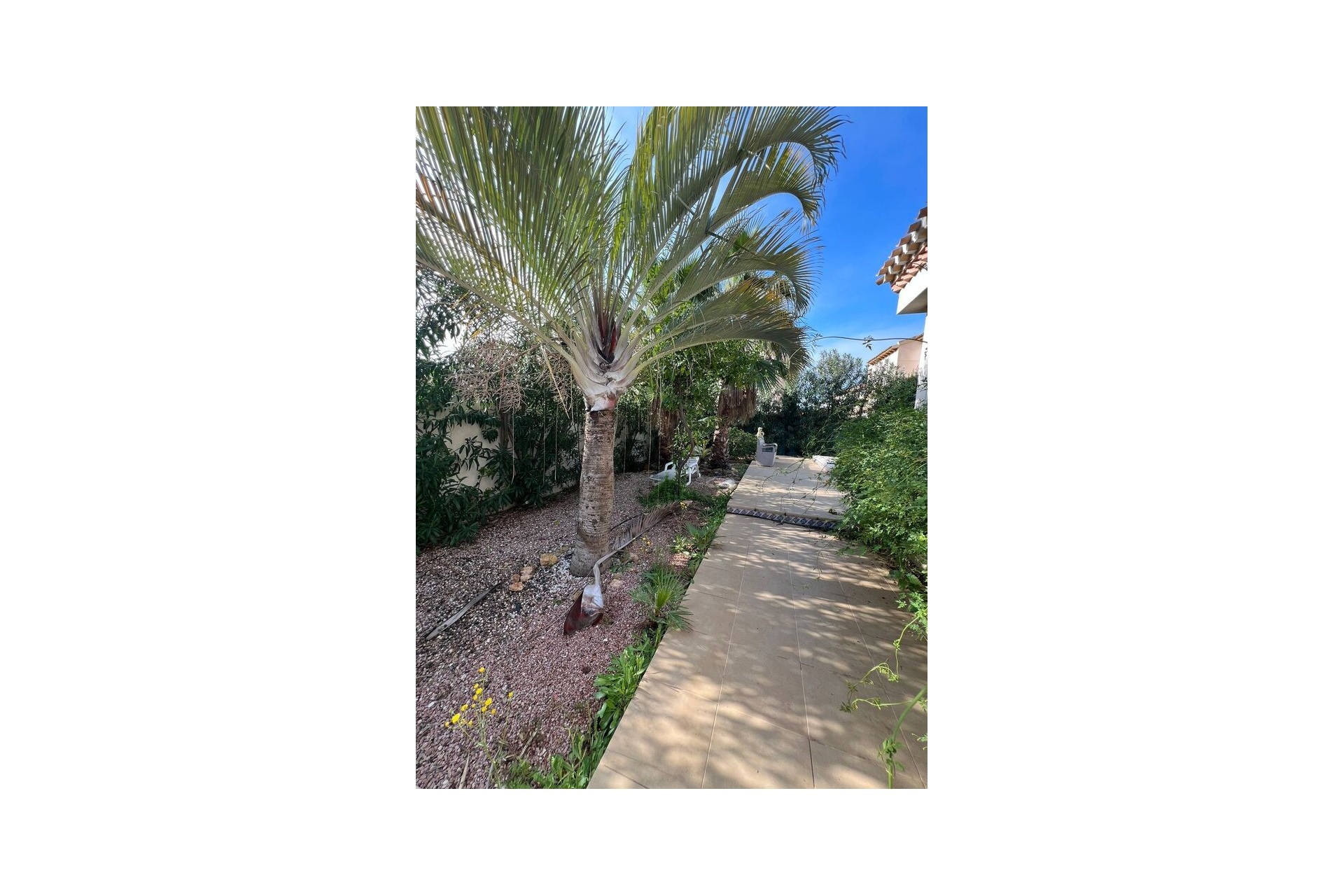 Brukt - Villa -
Playa Flamenca