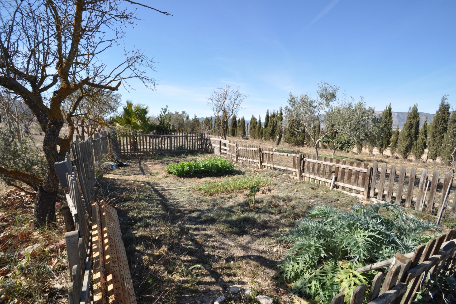 Brukt - Villa -
Salinas - Inland