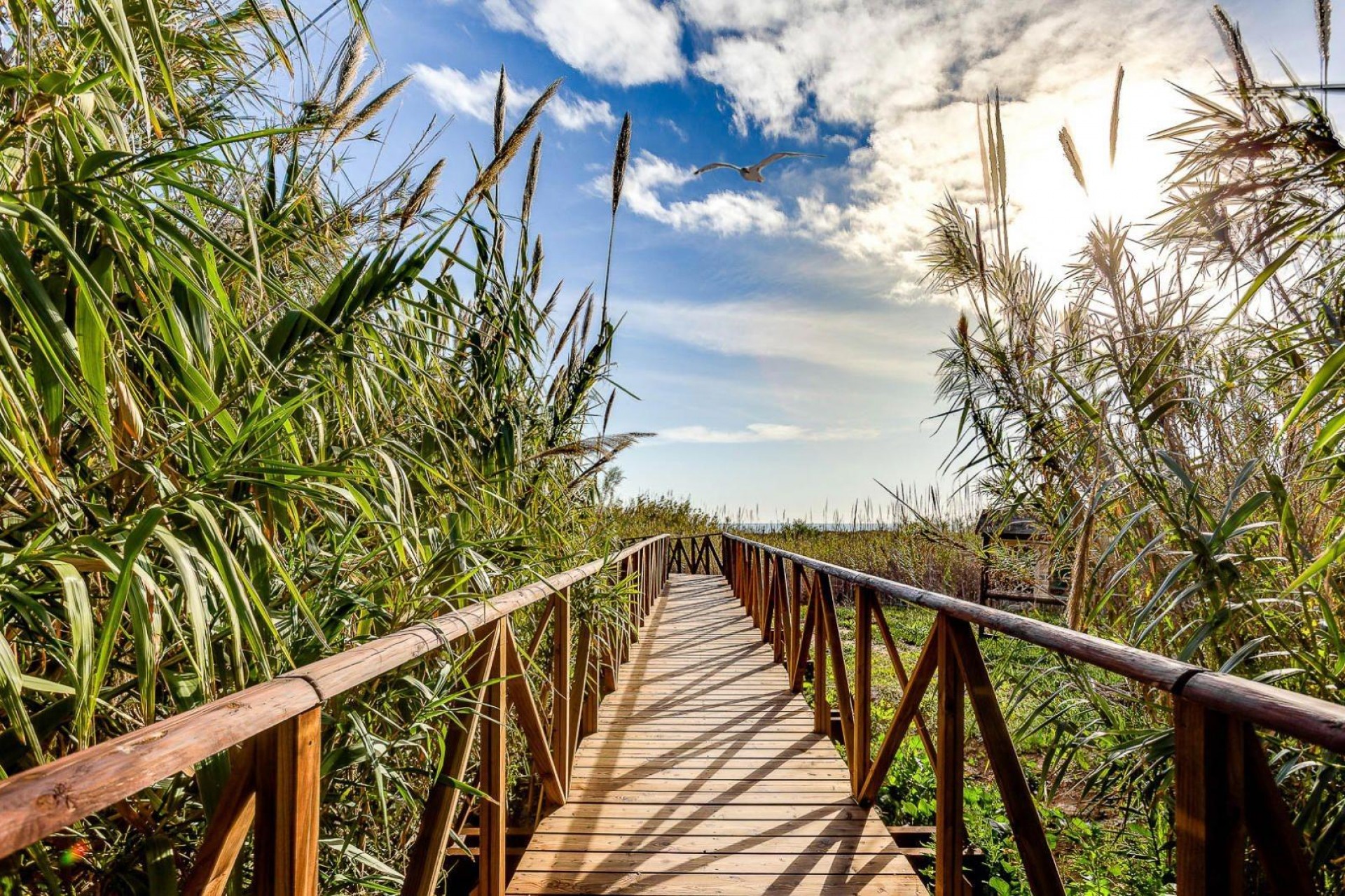 Brukt - Villa -
San Fulgencio - La Marina
