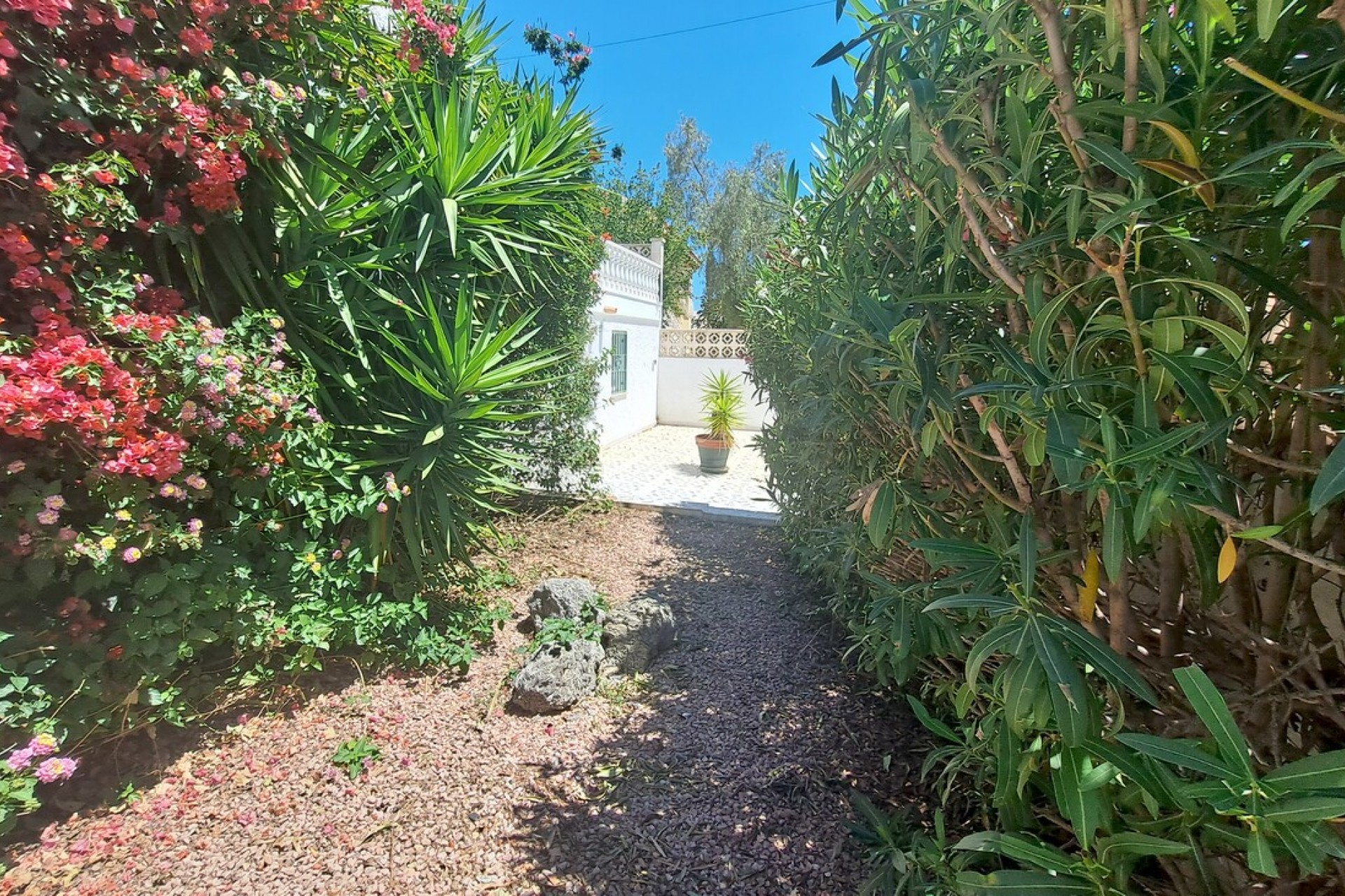 Brukt - Villa -
San Miguel de Salinas - Inland
