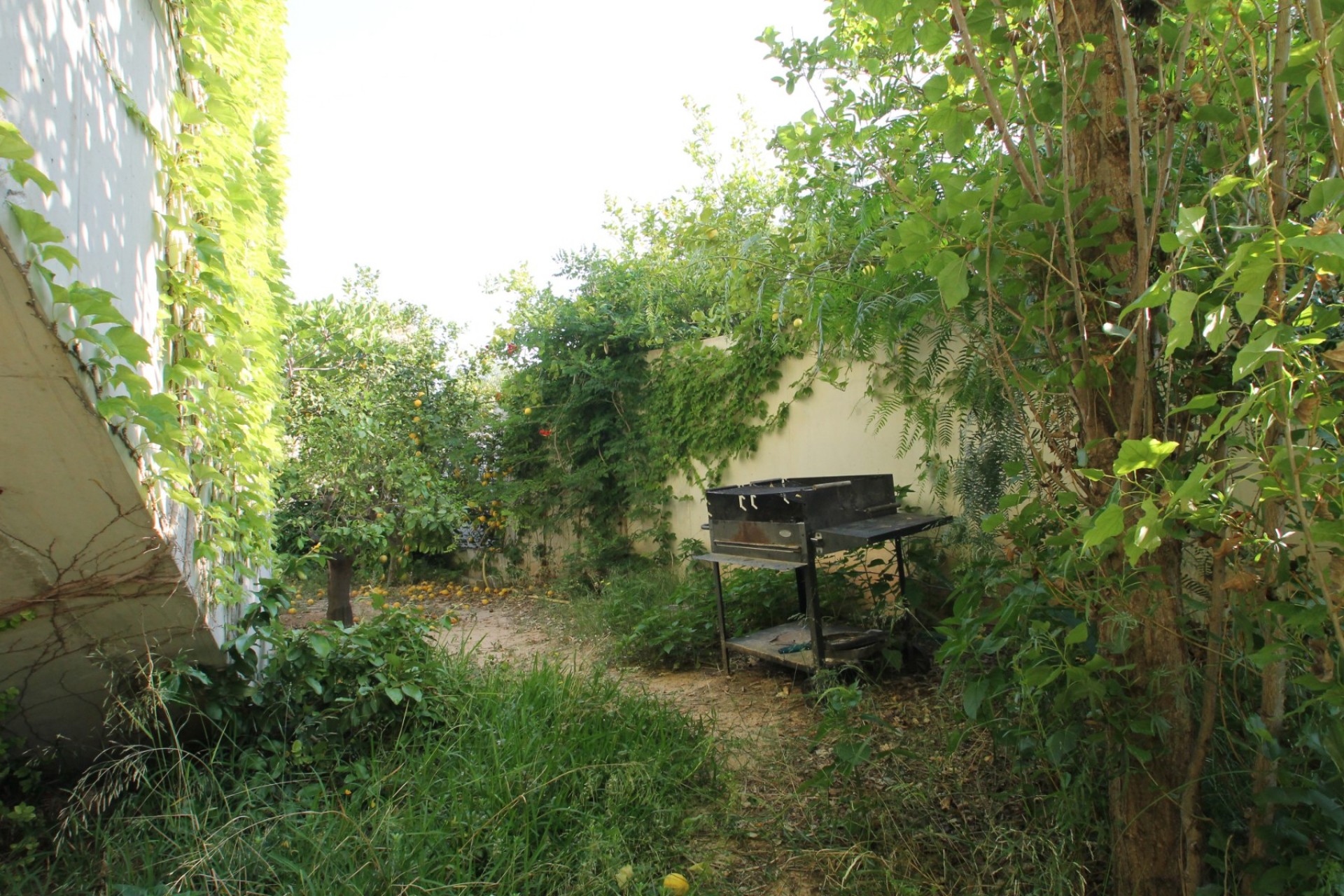 Brukt - Villa -
San Vicente del Raspeig - Inland