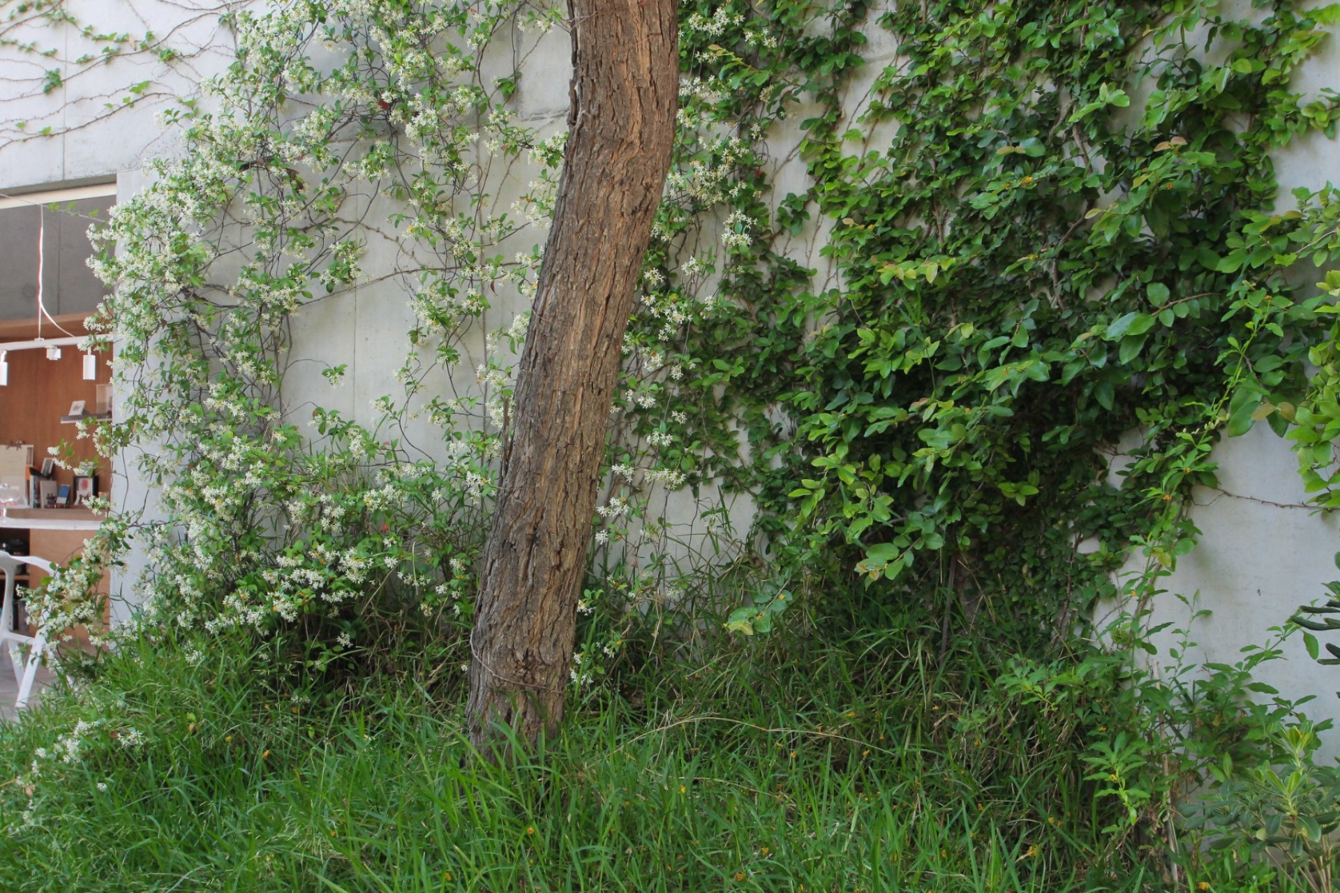 Brukt - Villa -
San Vicente del Raspeig - Inland