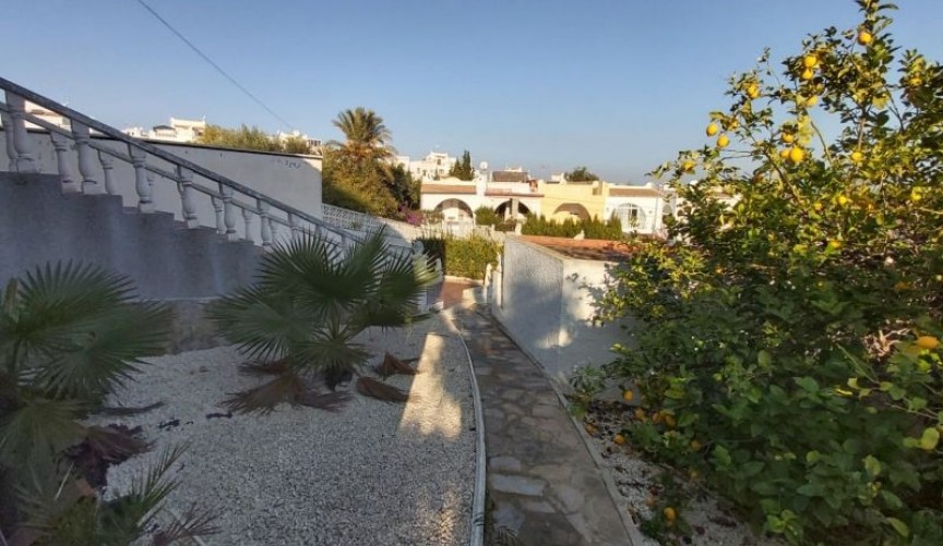 Brukt - Villa -
Torrevieja - Costa Blanca