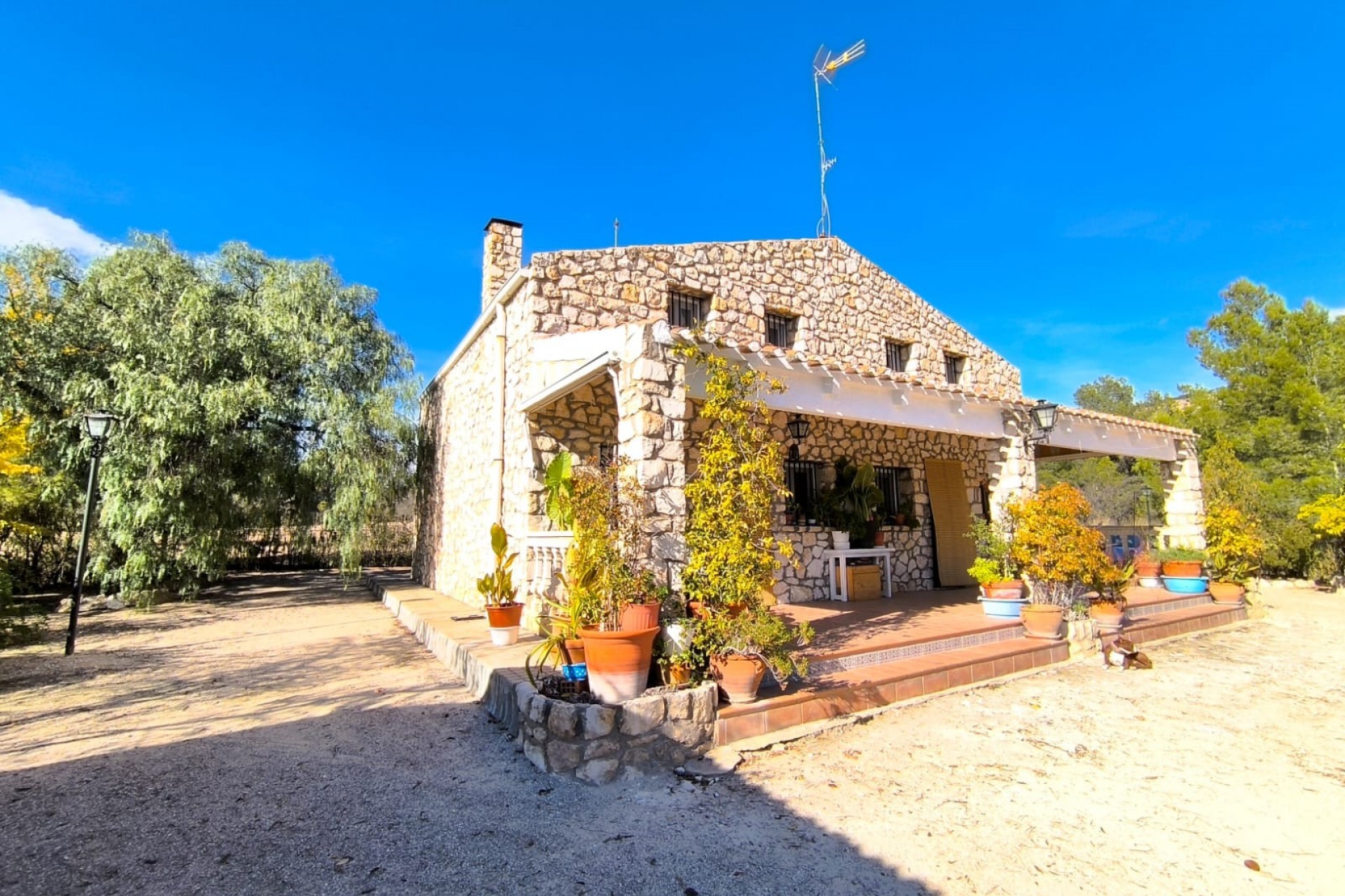 Brukt - Villa -
Yecla - Inland