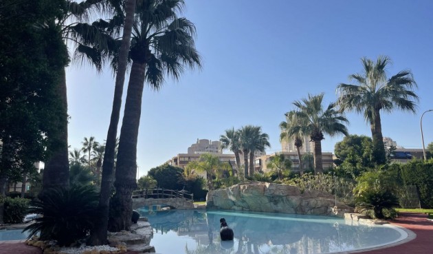 Duplex - Reventa - El Campello - BO-33559