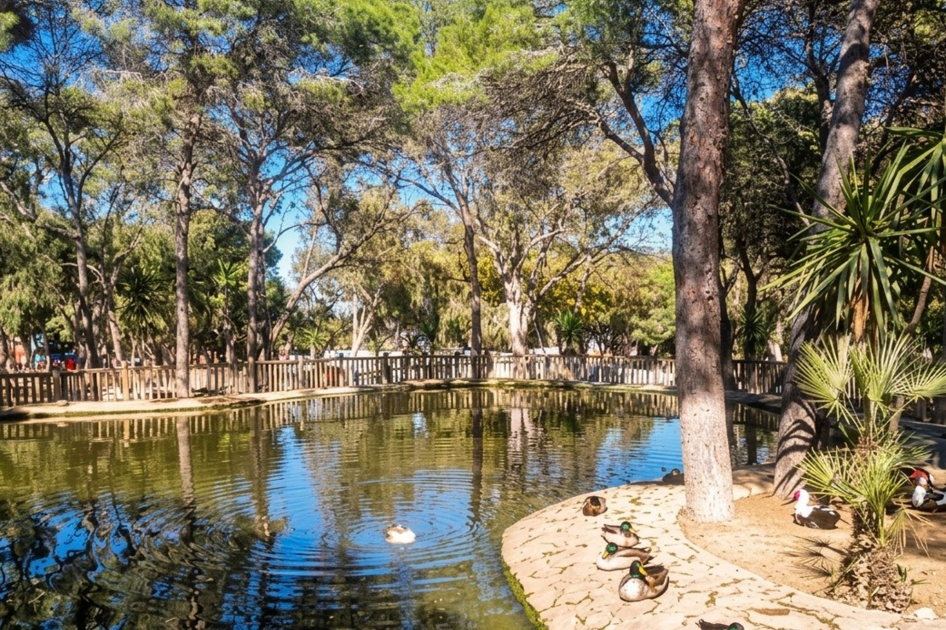 Korttidsleie - Apartment -
Guardamar del Segura - Guardamar