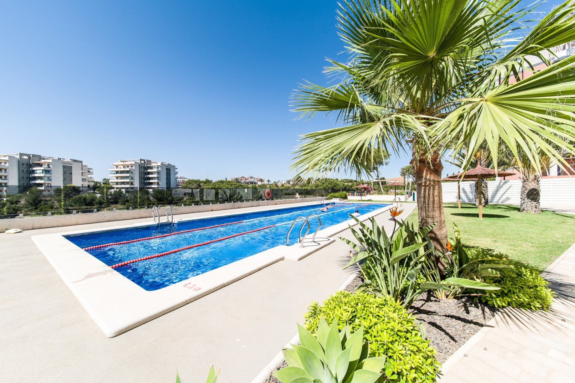 Korttidsuthyrning - Apartment -
Orihuela Costa - Villamartín