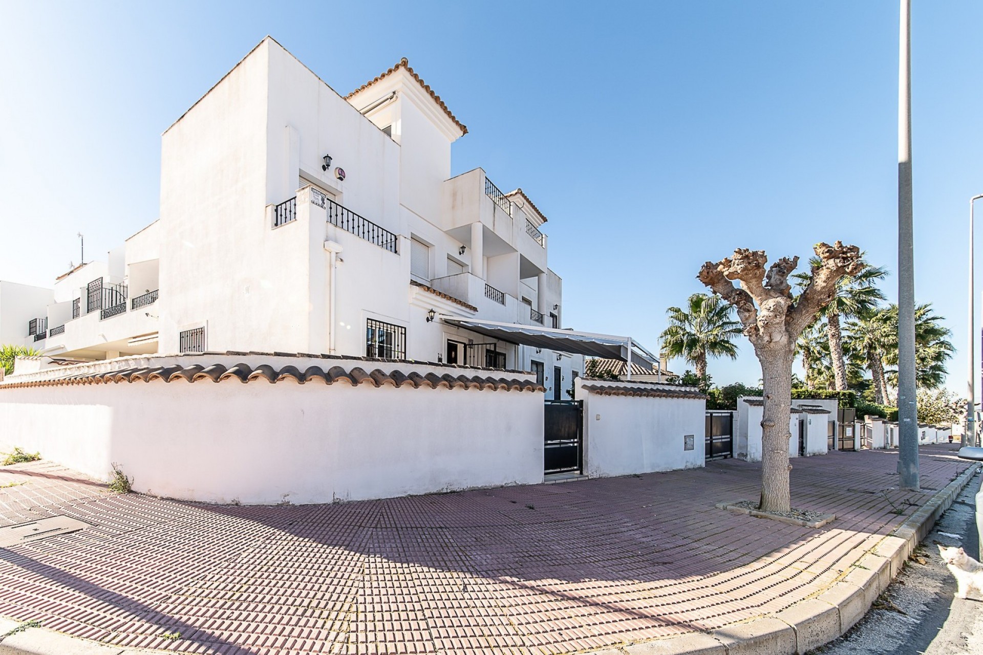 Korttidsuthyrning - Town House -
San Fulgencio