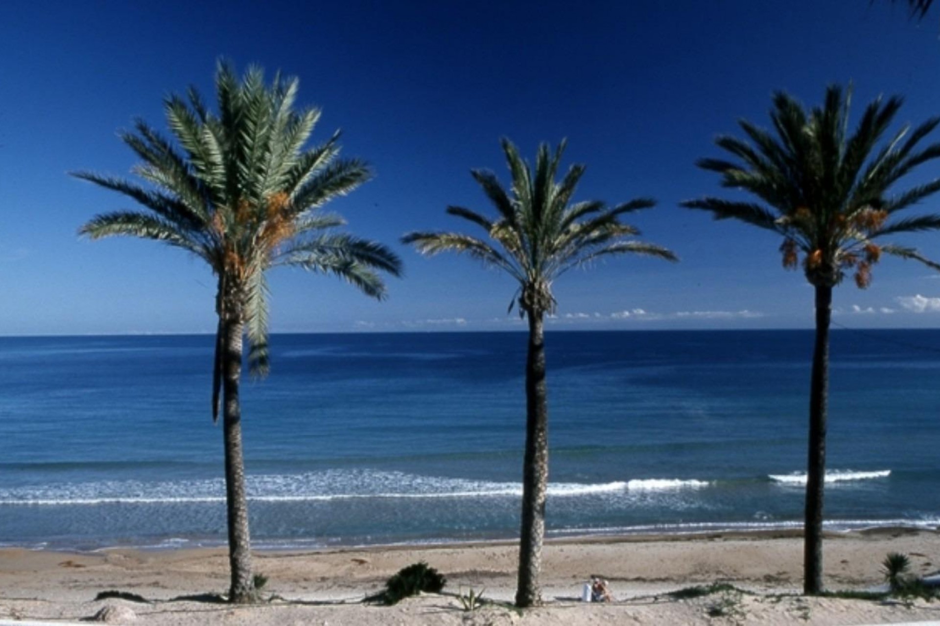 Nybygg - Bungalow -
Pilar de la Horadada - Parque Ramon eugenio Escudero