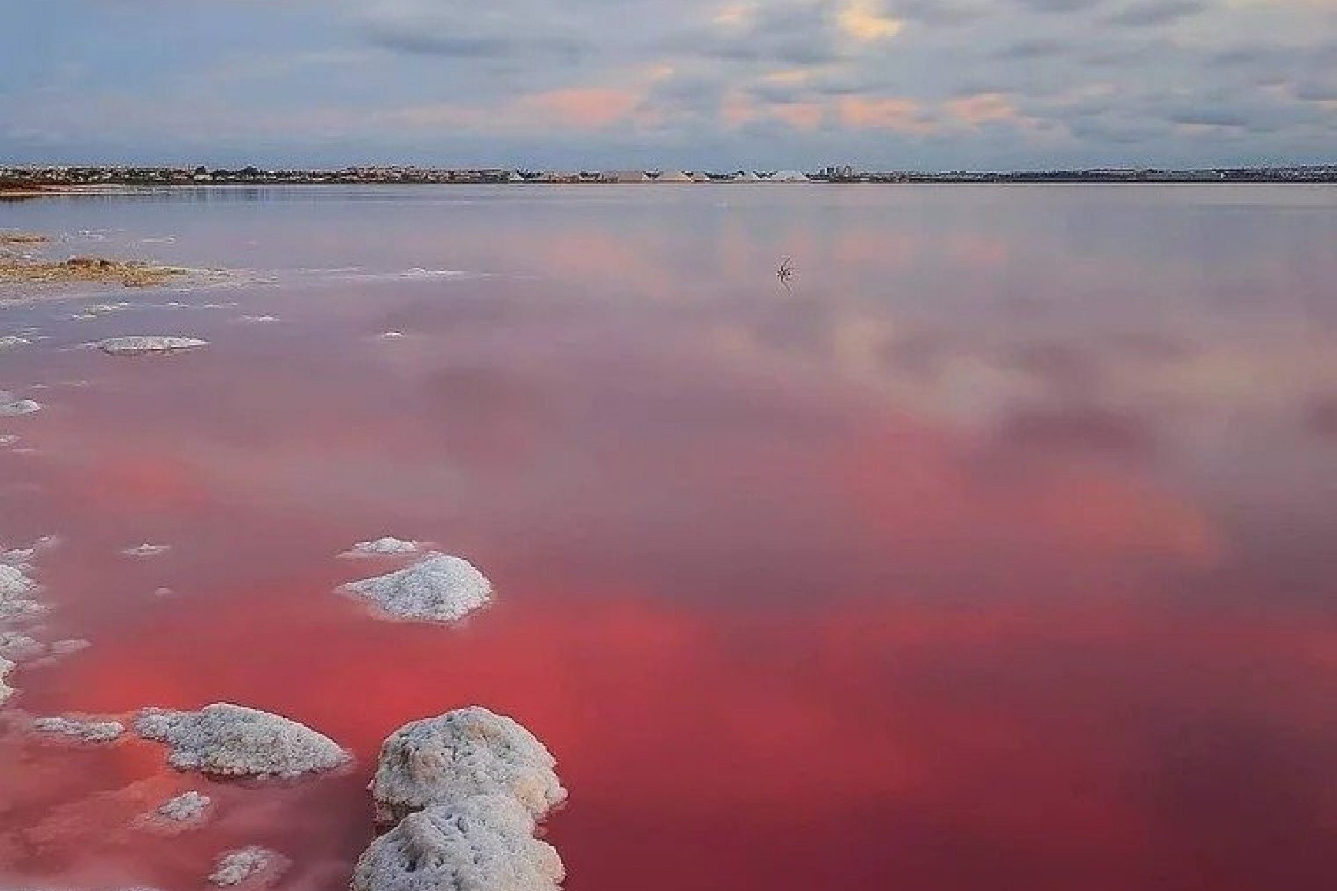 Nybygg - Bungalow -
Torrevieja - Lago Jardín II