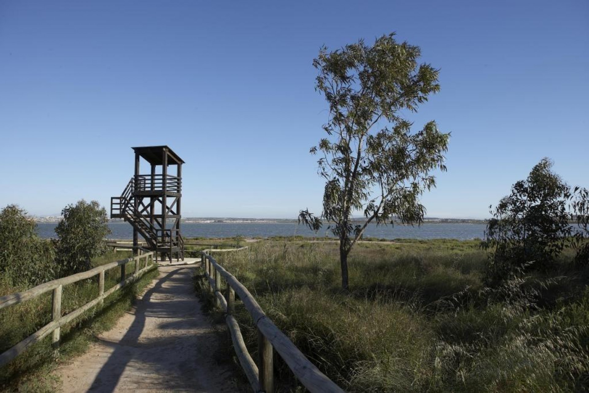 Nybygg - Bungalow -
Torrevieja - Torrejón