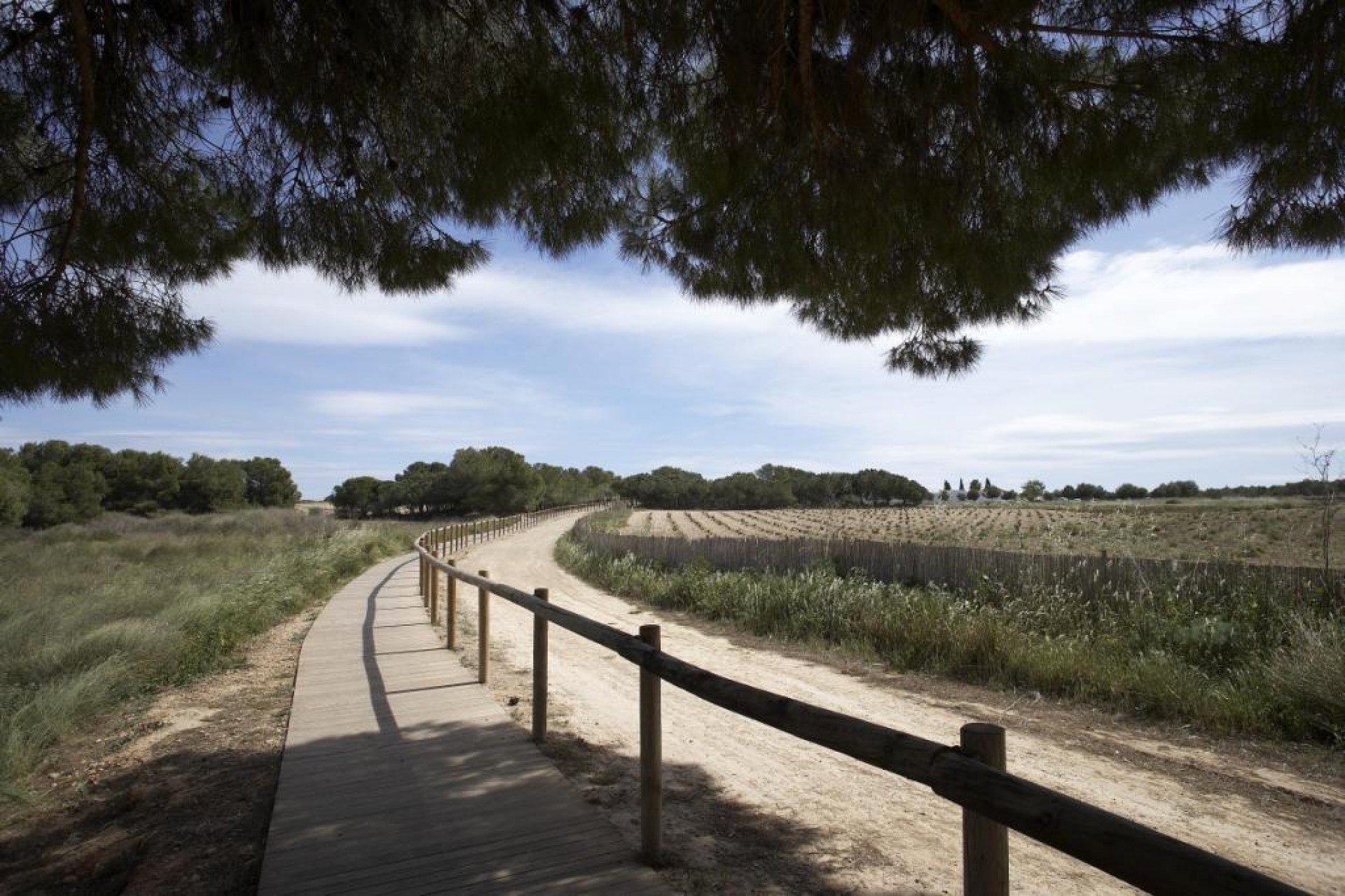 Nybygg - Bungalow -
Torrevieja - Torrejón