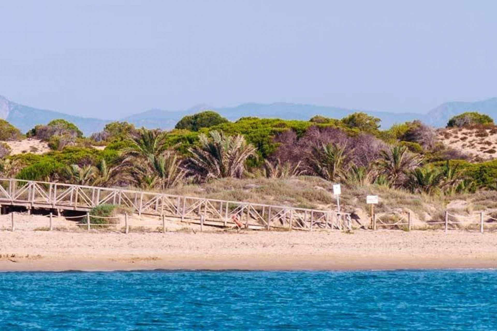 Nybygg - Toppleilighet -
Guardamar del Segura - Pueblo