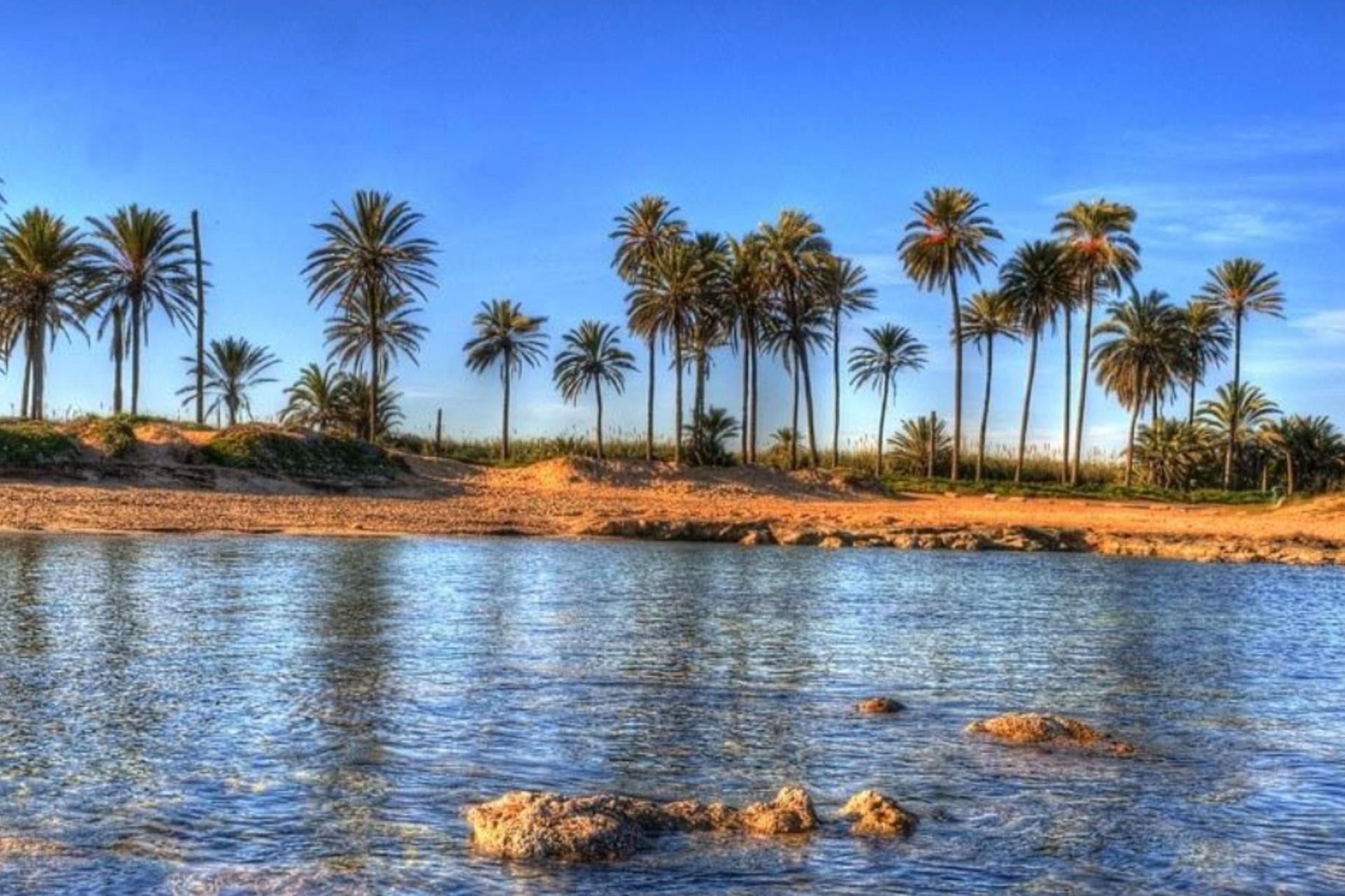 Nybygg - Toppleilighet -
Torrevieja - Playa de El Cura