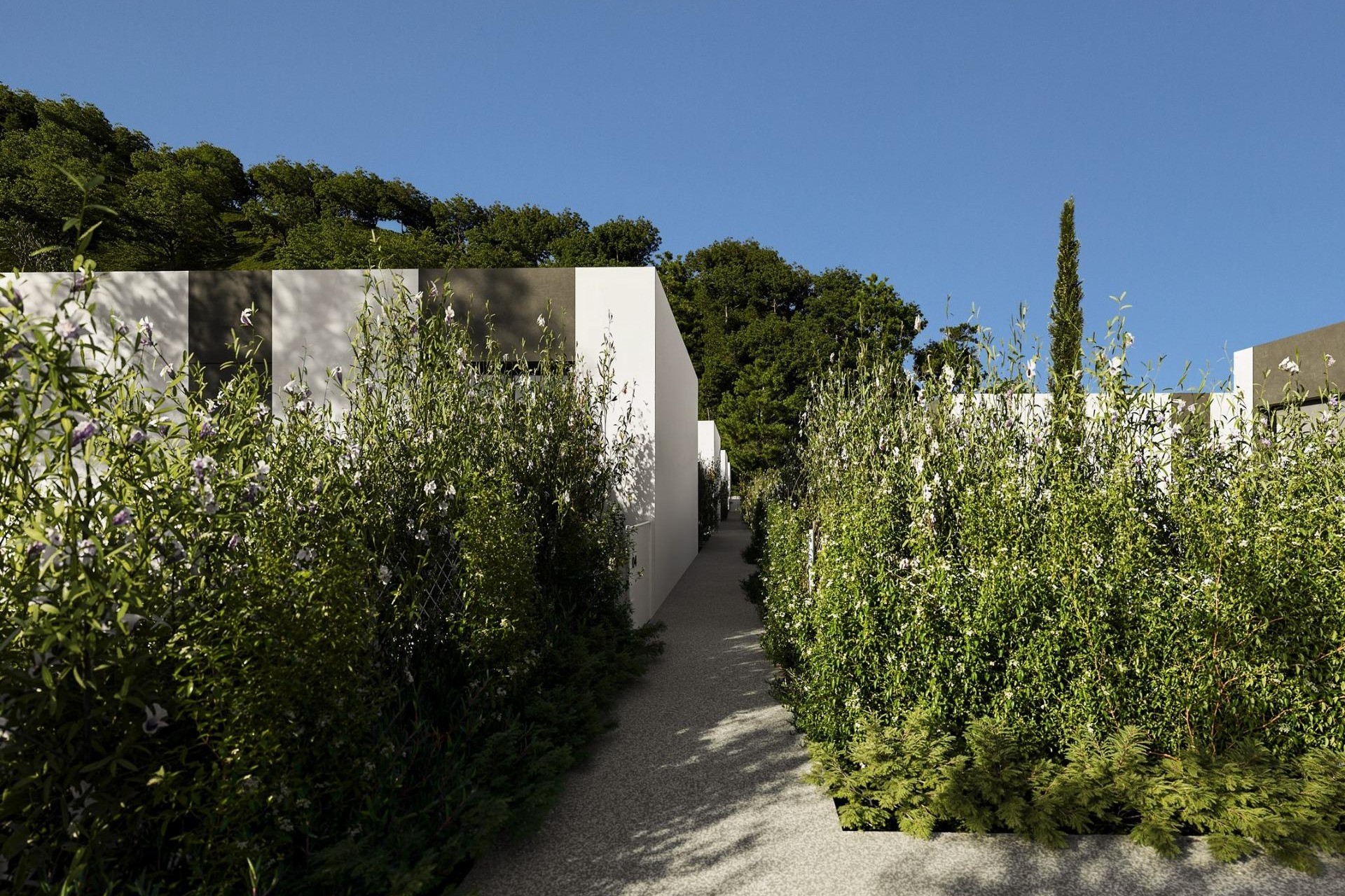 Nybygg - Villa -
Alfas del Pí - Barranc Fondo