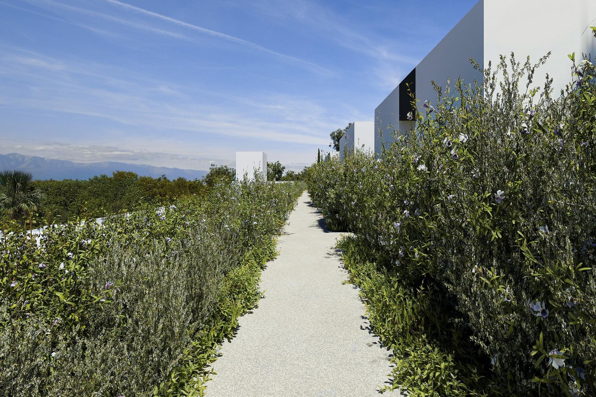 Nybygg - Villa -
Alfas del Pí - Barranc Fondo