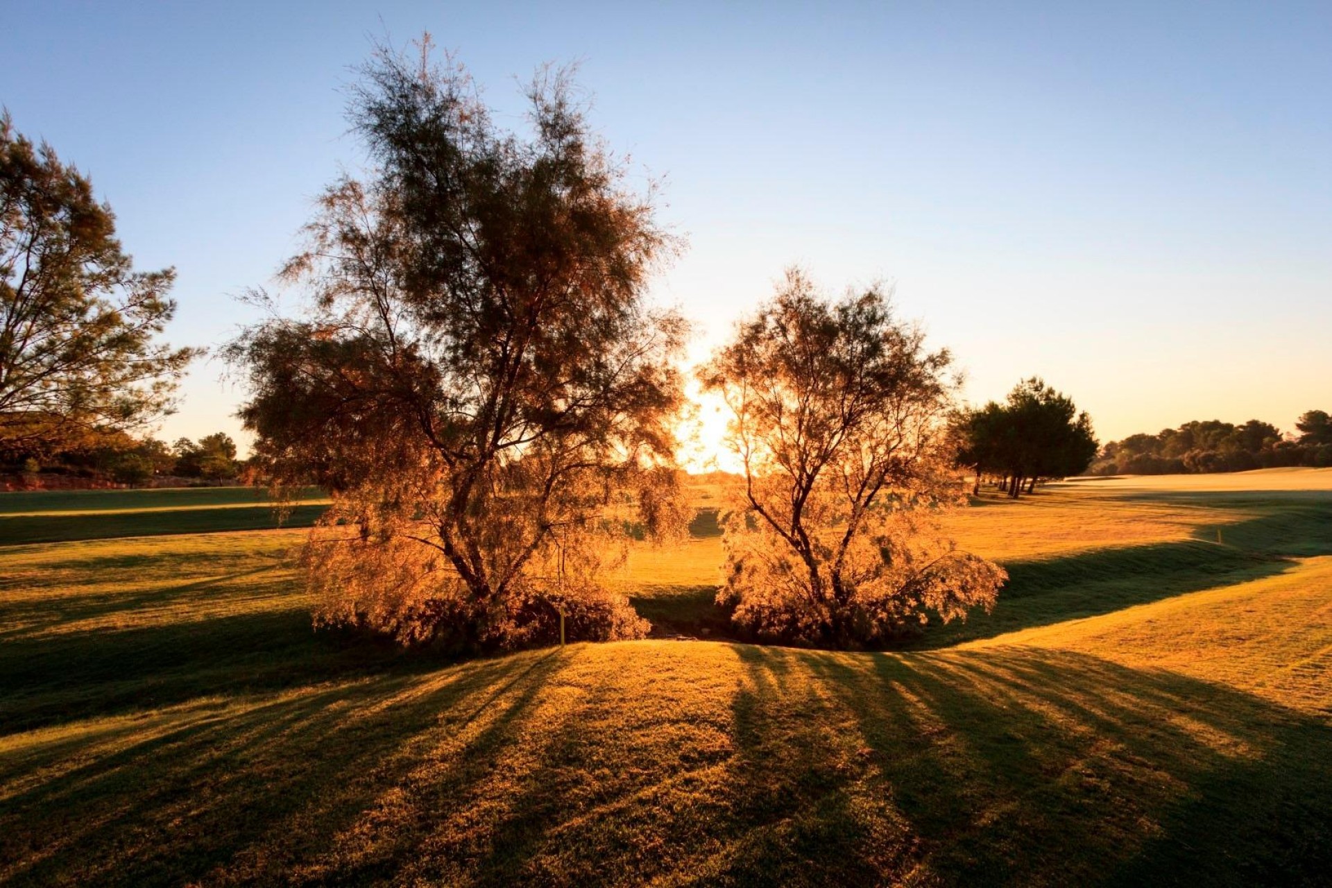 Nybygg - Villa -
Pilar de la Horadada - Lo Romero Golf