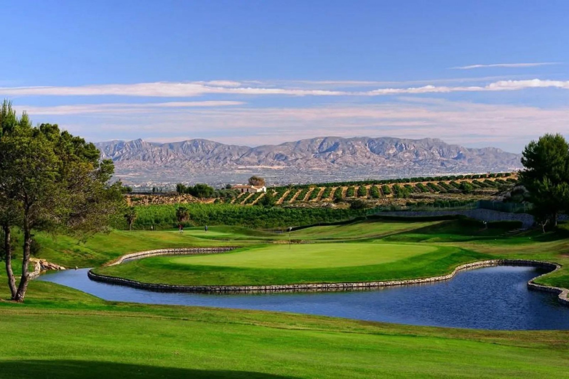 Nybyggnation - Bungalow -
Algorfa - La Finca Golf