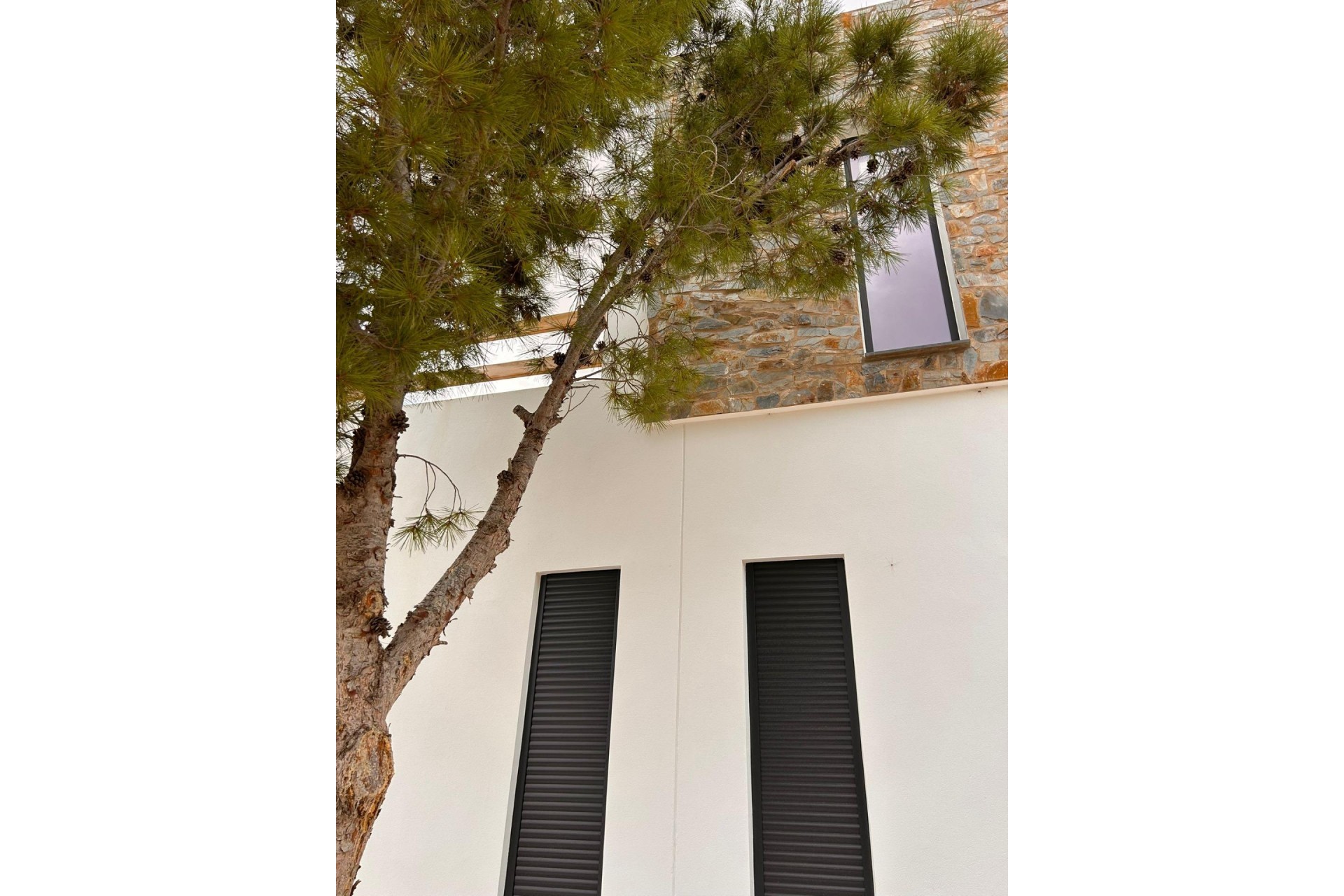 Nybyggnation - Villa -
Pinoso - Casas Pastor