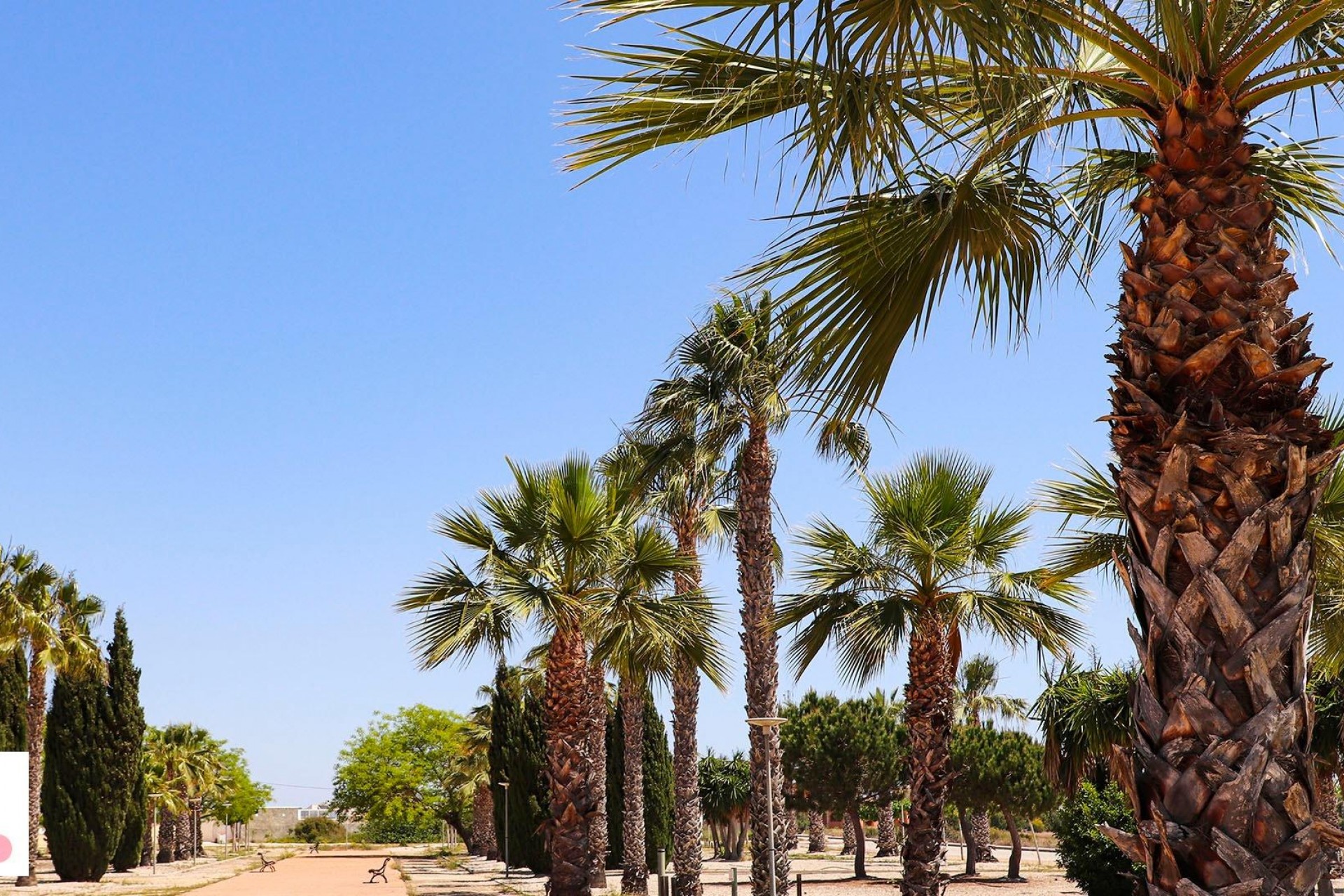 Nybyggnation - Villa -
San Fulgencio - La Escuera