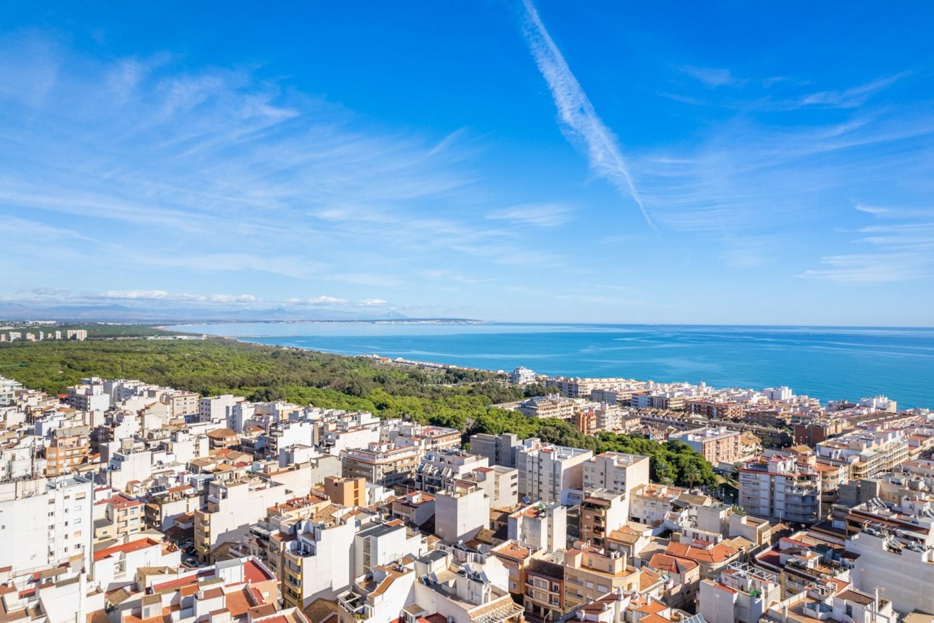 Obra nueva - Apartment -
Guardamar del Segura - Centro