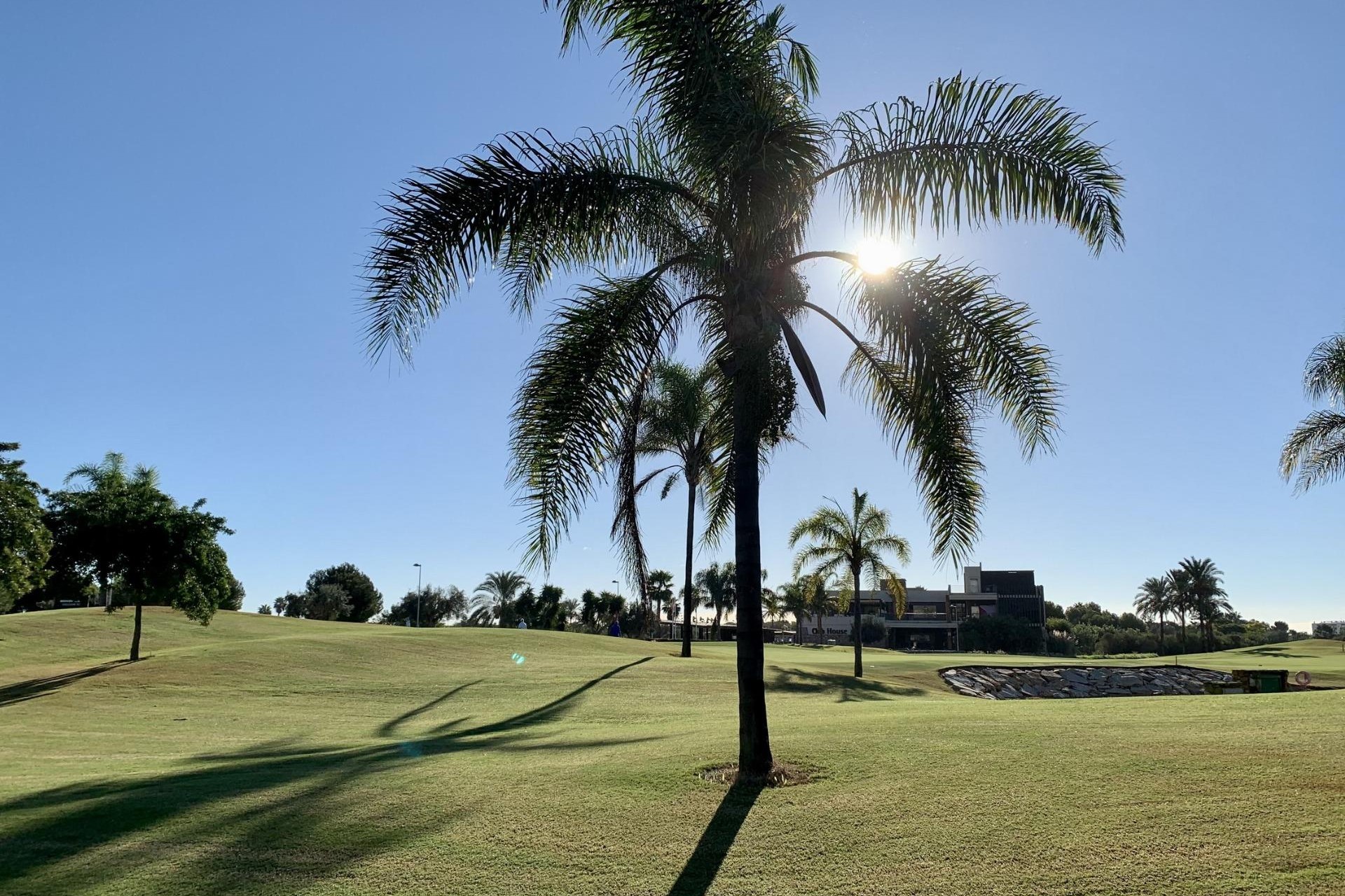 Obra nueva - Bungalow -
San Javier - Roda Golf