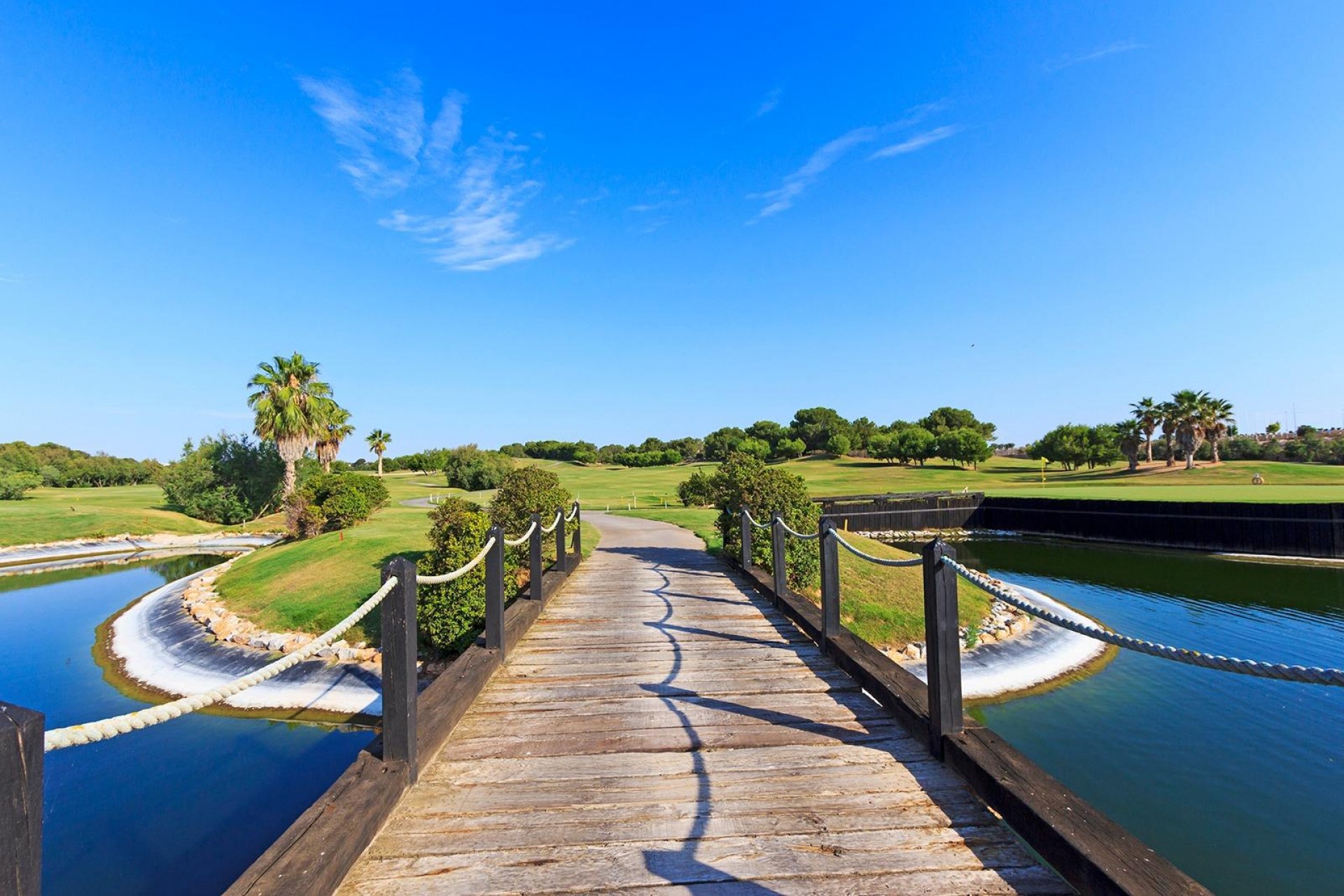 Obra nueva - Villa -
Pilar de la Horadada - Lo Romero Golf