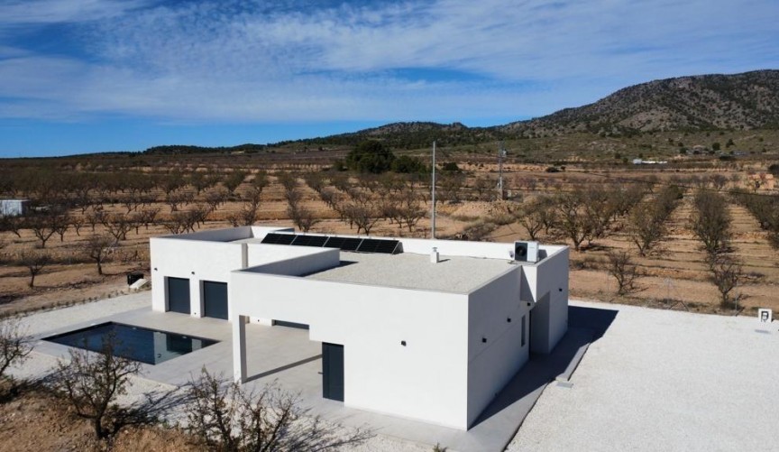 Obra nueva - Villa -
Pinoso - Lel