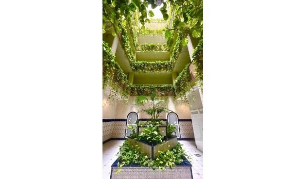 Penthouse - Resale - Torrevieja - Centro