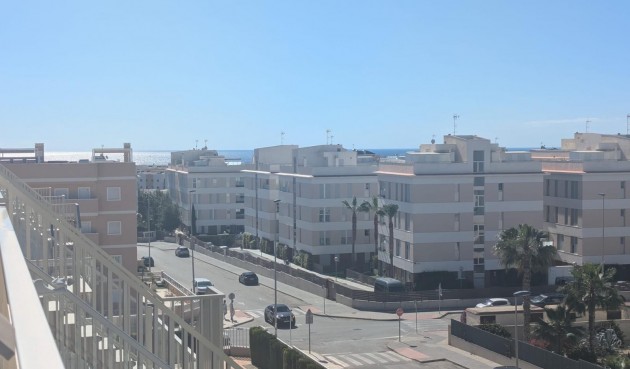Penthouse - Resale - Villamartin - Costa Blanca