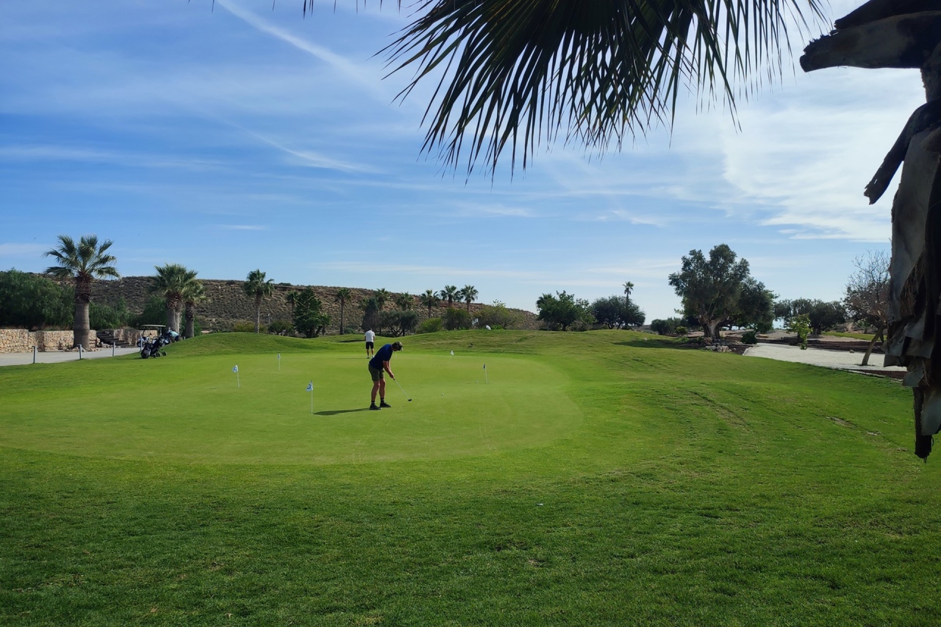 Resale - Apartment -
Altaona Golf - Inland