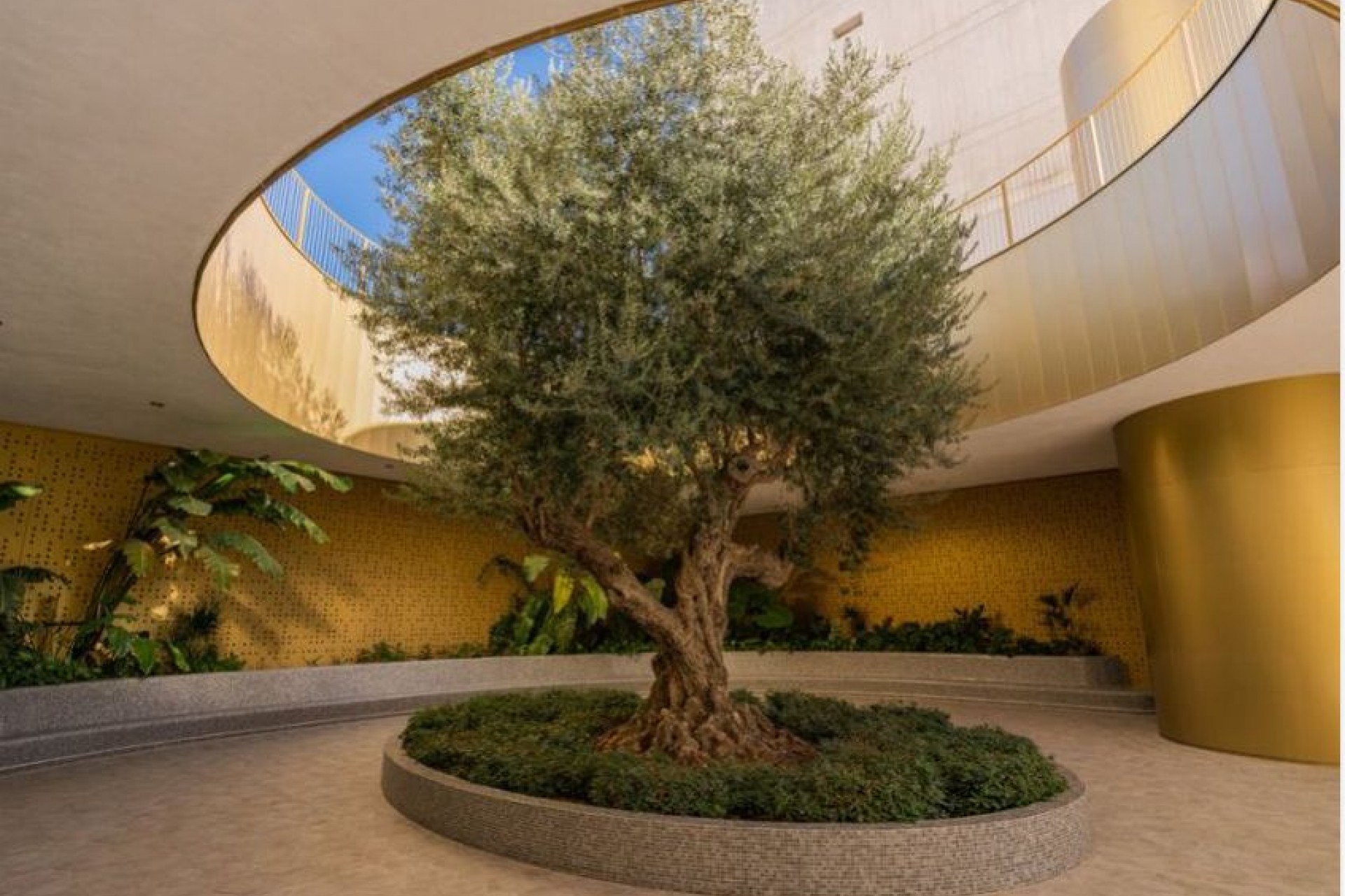 Resale - Apartment -
Benidorm - Costa Blanca