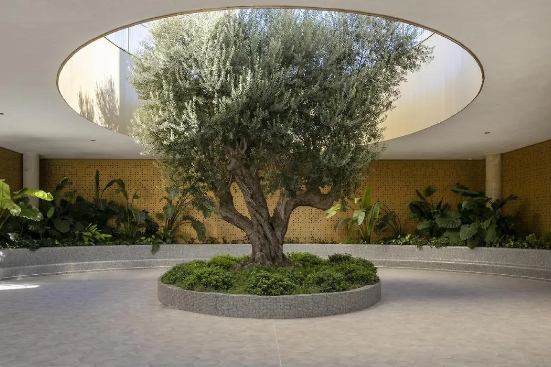 Resale - Apartment -
Benidorm - Costa Blanca