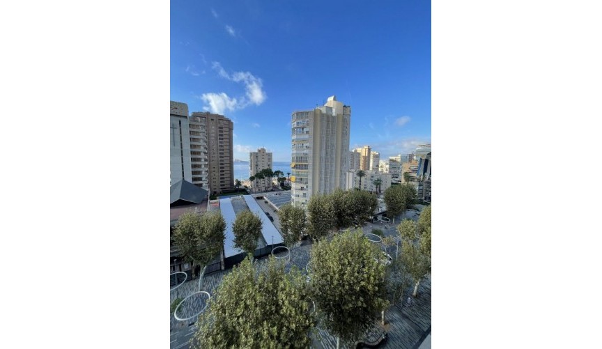 Resale - Apartment -
Benidorm - Costa Blanca