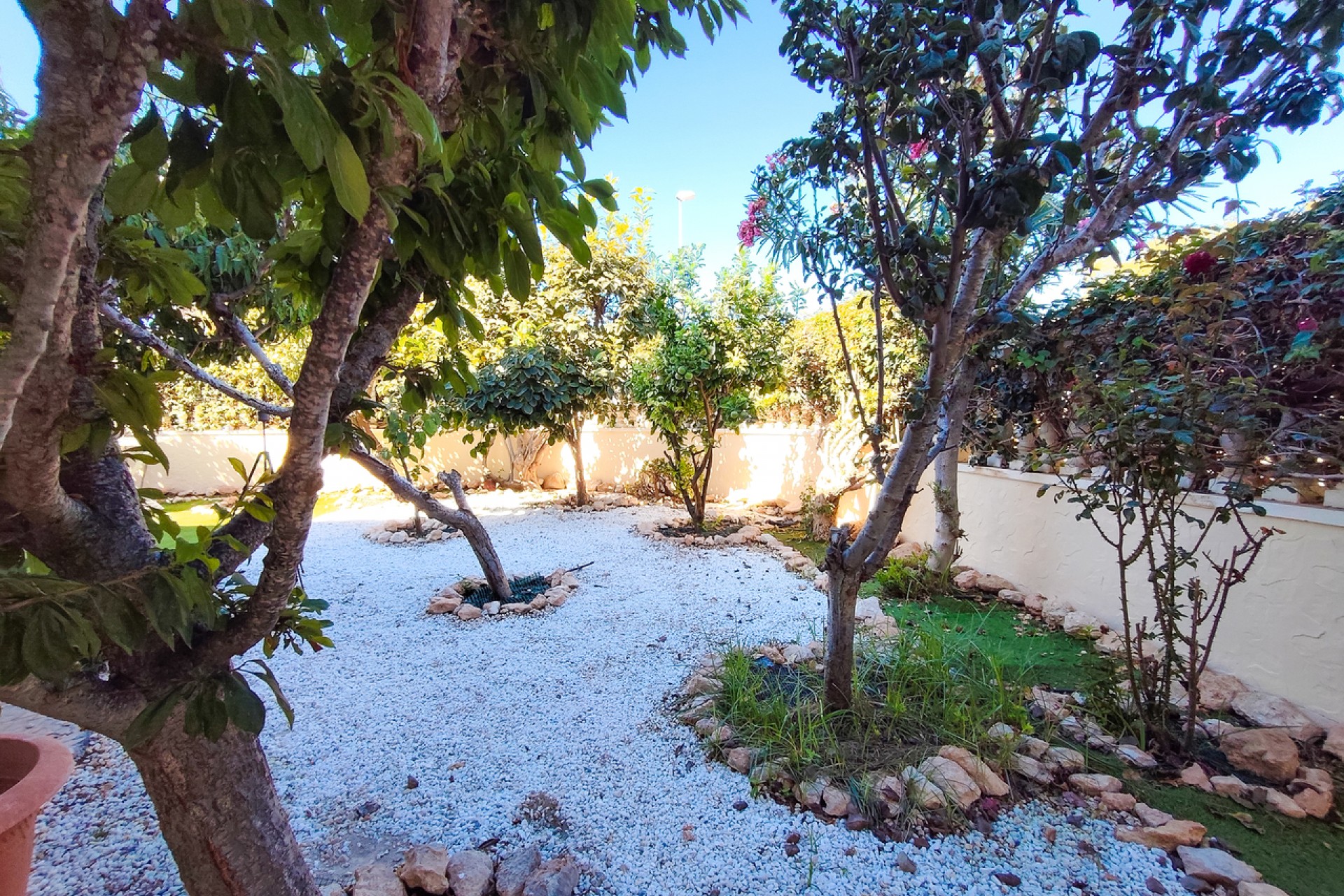 Resale - Apartment -
Cabo Roig - Costa Blanca