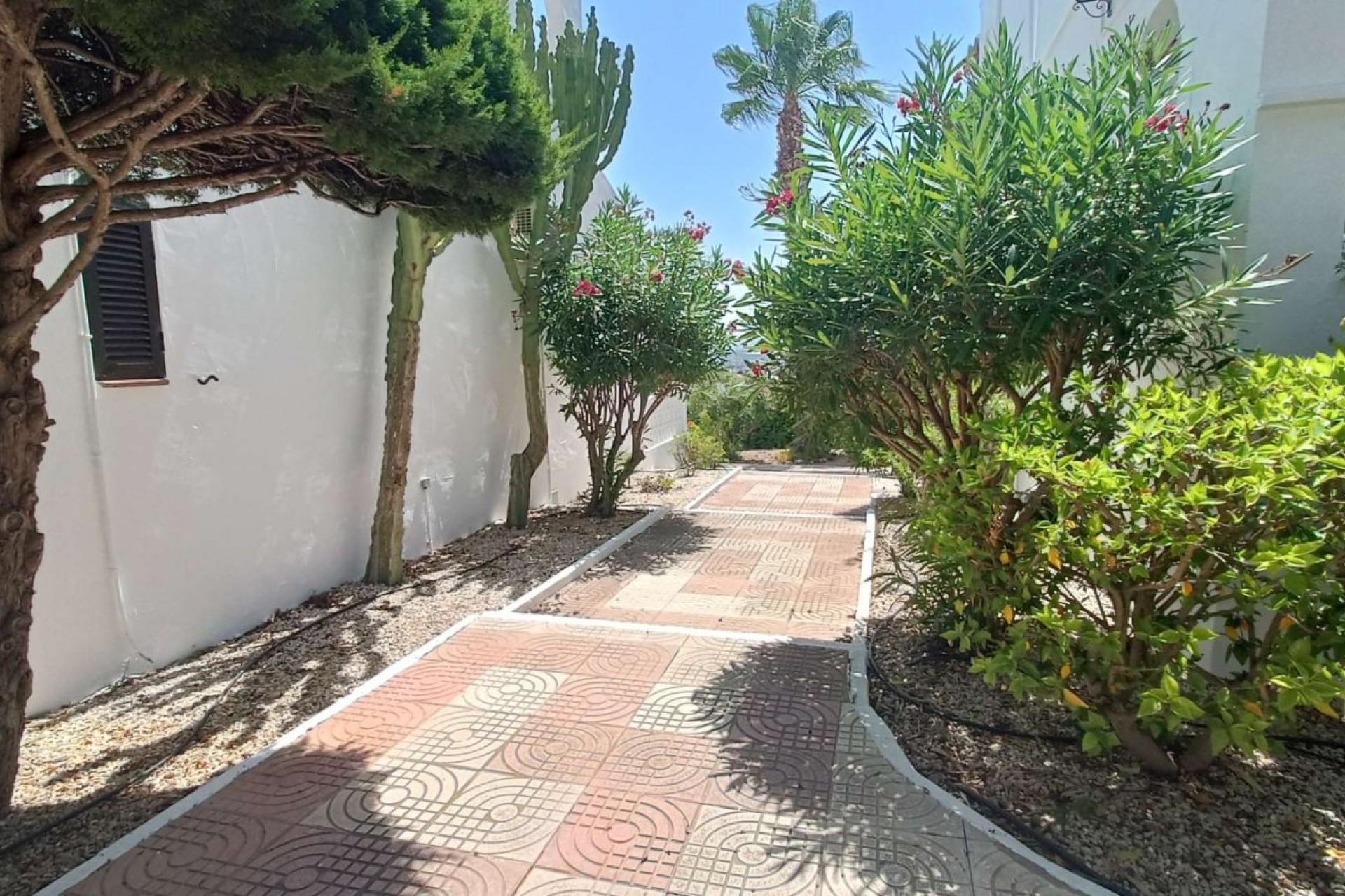 Resale - Apartment -
Ciudad Quesada - Costa Blanca