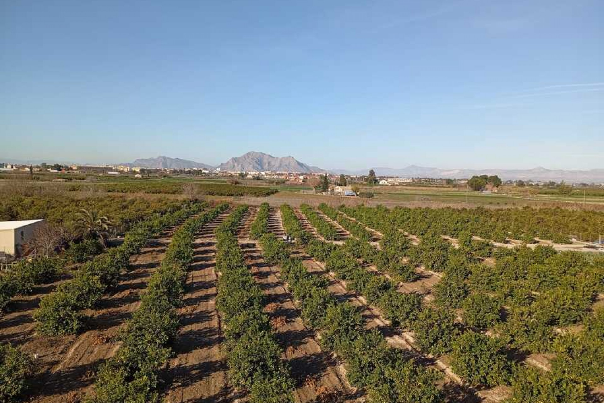 Resale - Apartment -
Daya Nueva - Costa Blanca