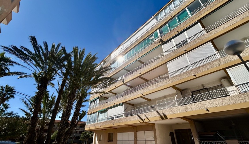 Resale - Apartment -
Guardamar del Segura - Costa Blanca