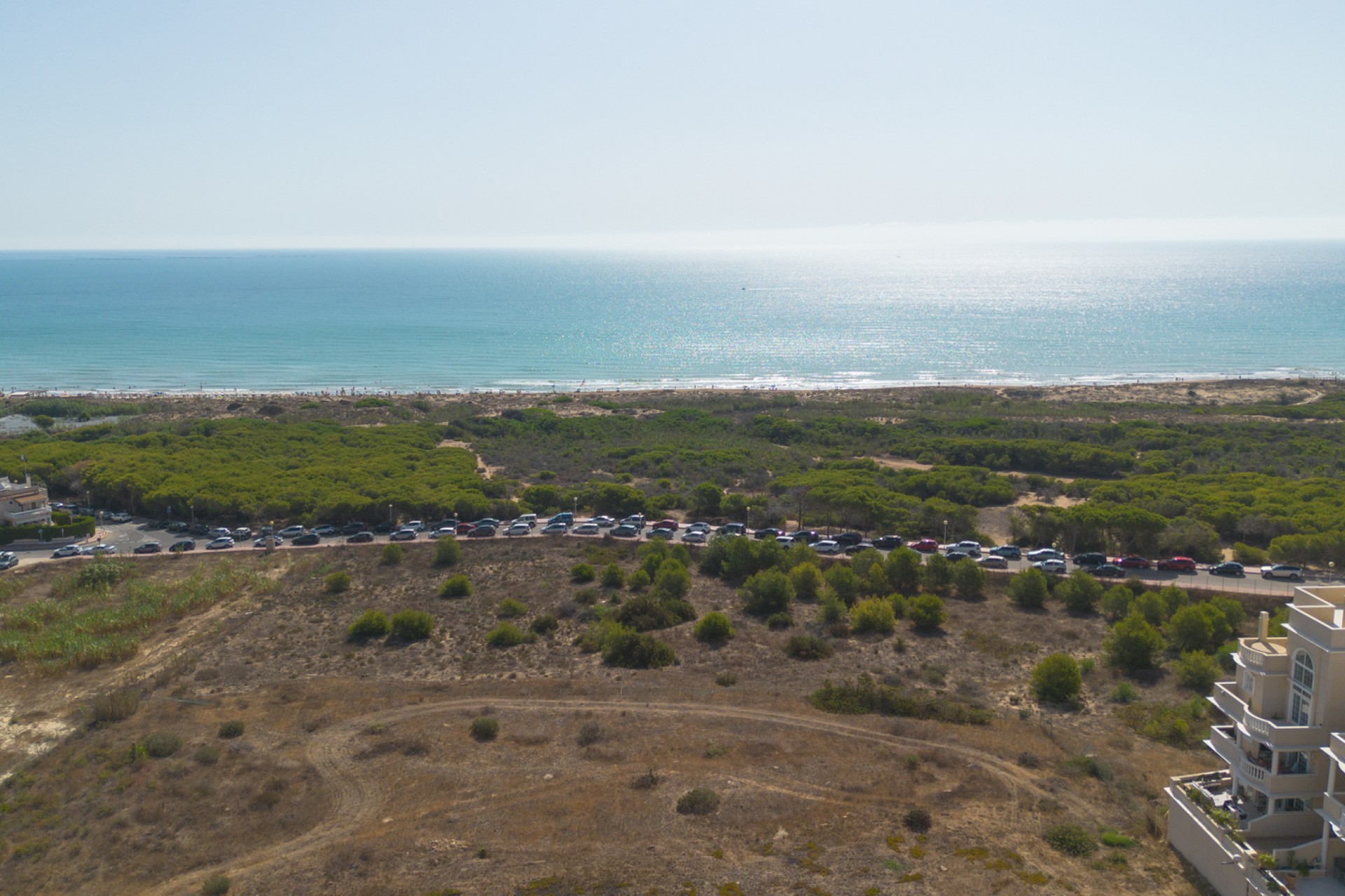 Resale - Apartment -
Guardamar del Segura - Costa Blanca