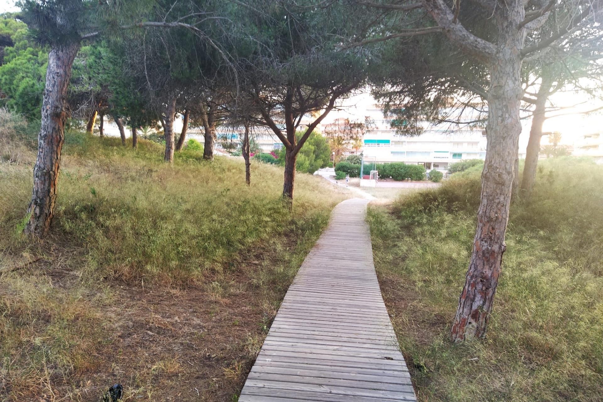 Resale - Apartment -
Guardamar del Segura - Pinomar