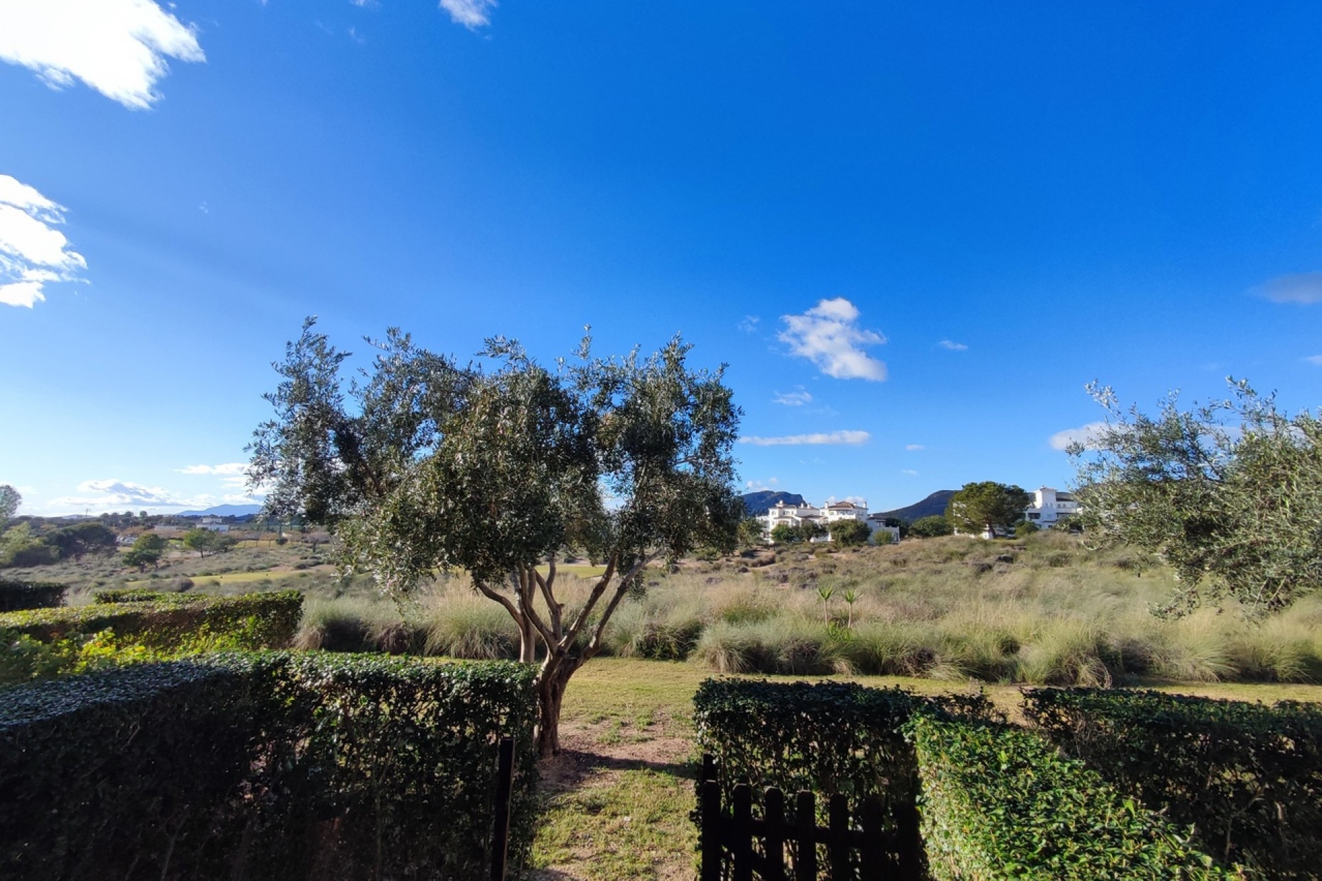 Resale - Apartment -
Hacienda Riquelme Golf Resort - Inland