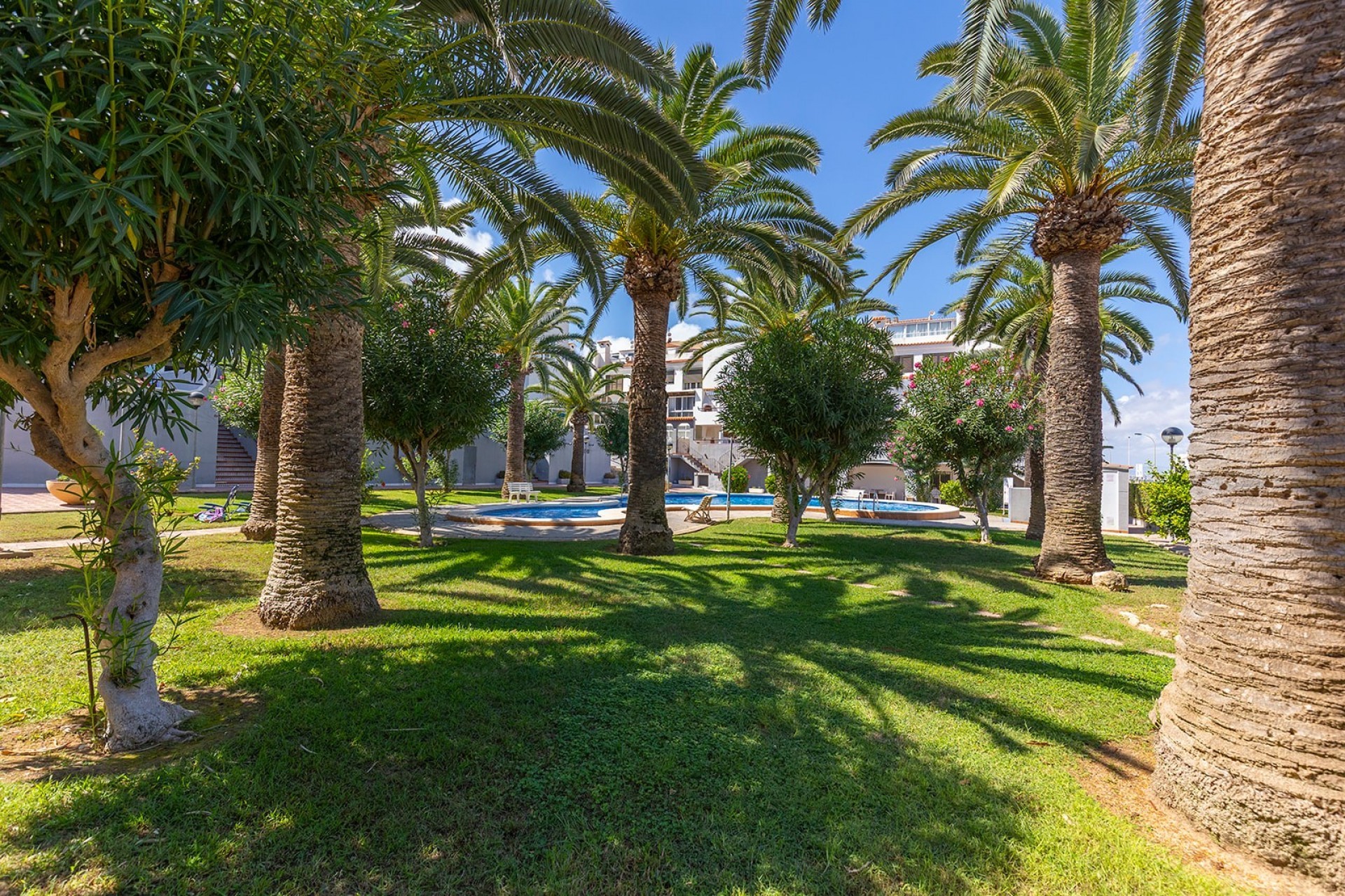 Resale - Apartment -
La Mata - Costa Blanca